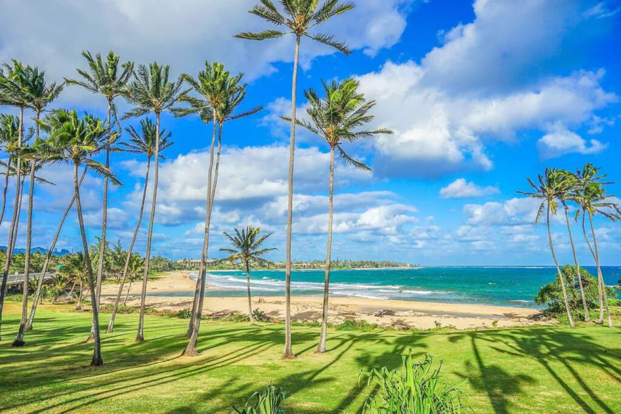 Luxury 2-Story Oceanfront Condo w/ Views & Pool - Photo 72