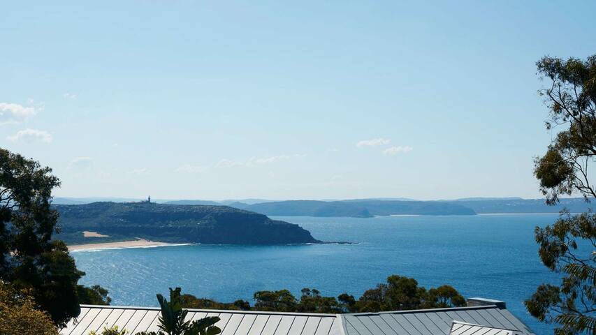 Pacific Blue gallery image 4