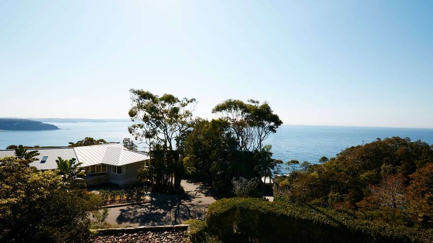 Pacific Blue gallery image 2