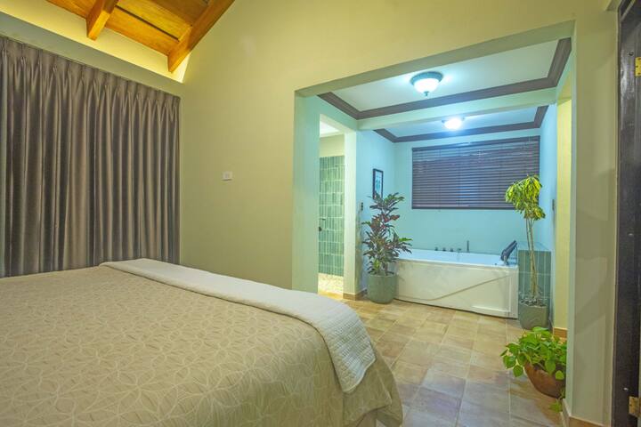 Luxury Suite close to the beach and Coco vibe