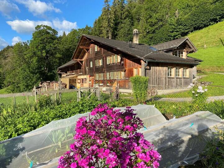Schönenmatte By Interhome - Zweisimmen