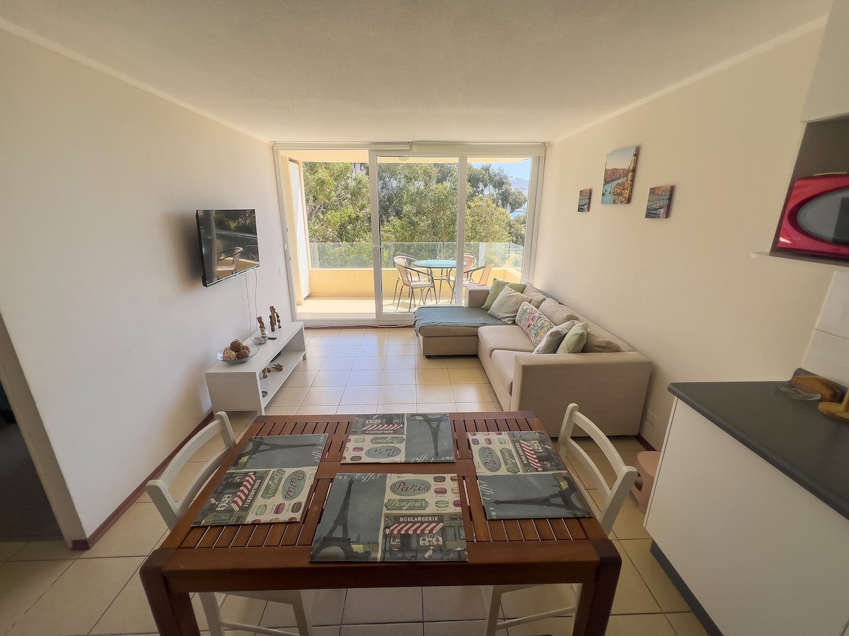 View of Apartments for Rent in Tampa FL