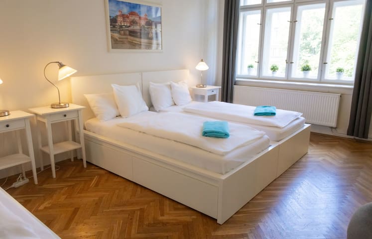 Dalia 3 Br 2 Ba 10 min walk from Old Town Square