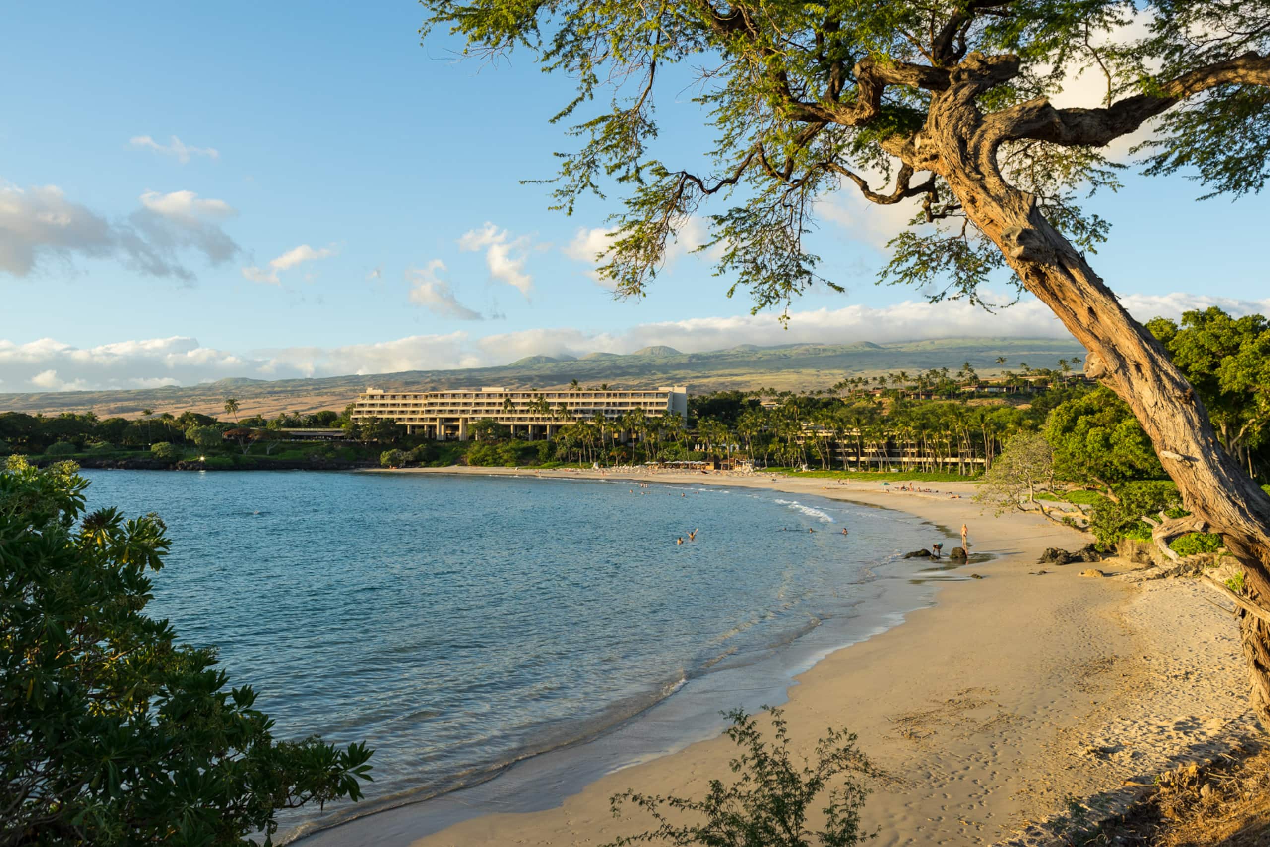 Condo in Waimea · ★5.0 · 2 bedrooms · 4 beds · 2.5 baths - Image 45