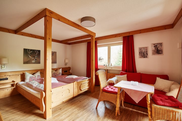 Apartment Goofy Für Ihren Allgäu-urlaub Mit Hund - Oberstdorf