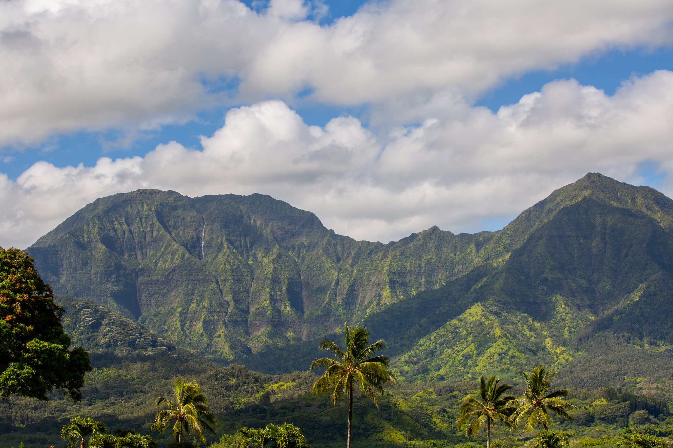 Pohaku Kauai by Gather: Garden Views Near Hanalei - Image 29
