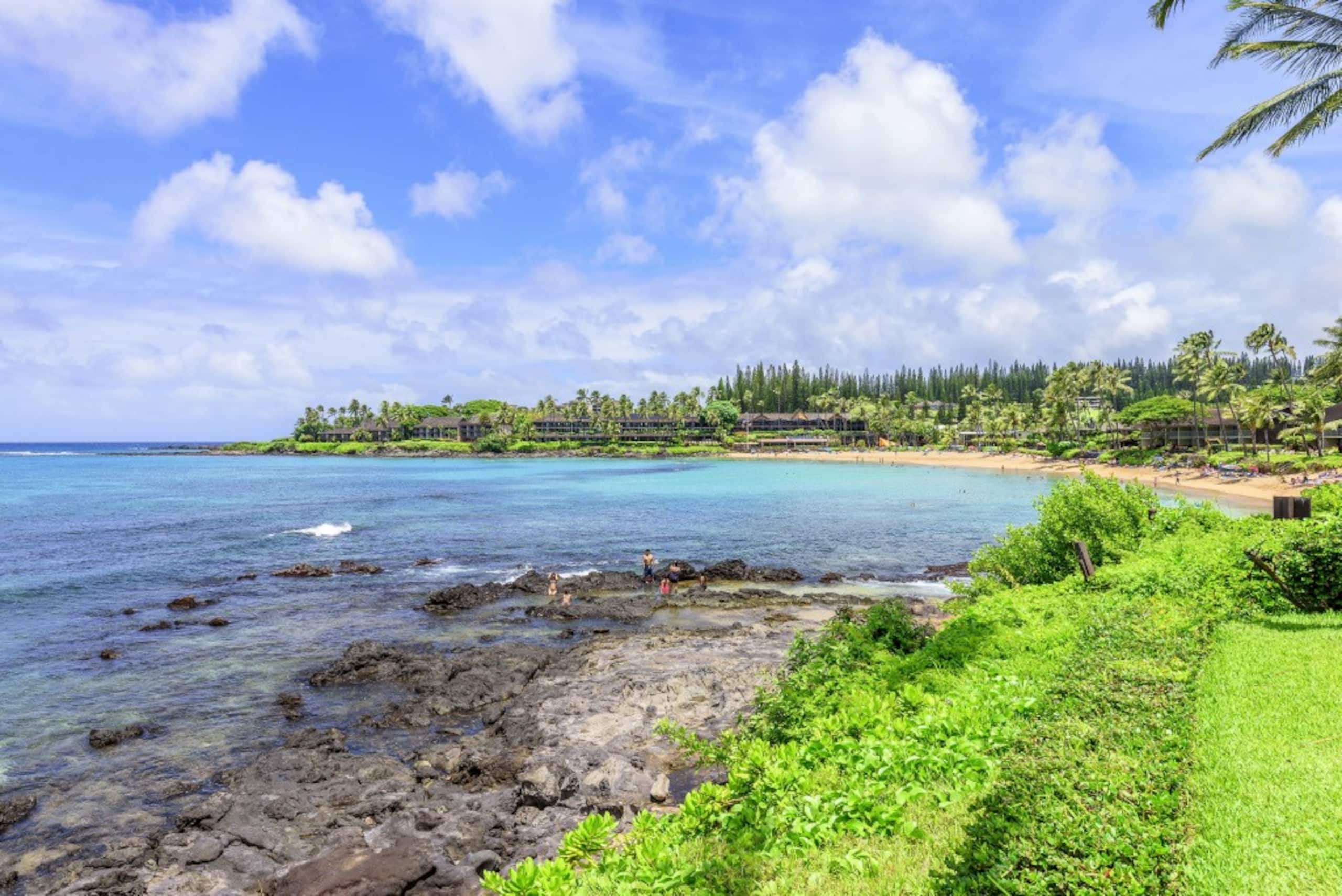 Condo in Lahaina · ★4.5 · 1 bedroom · 3 beds · 1 bath - Image 54