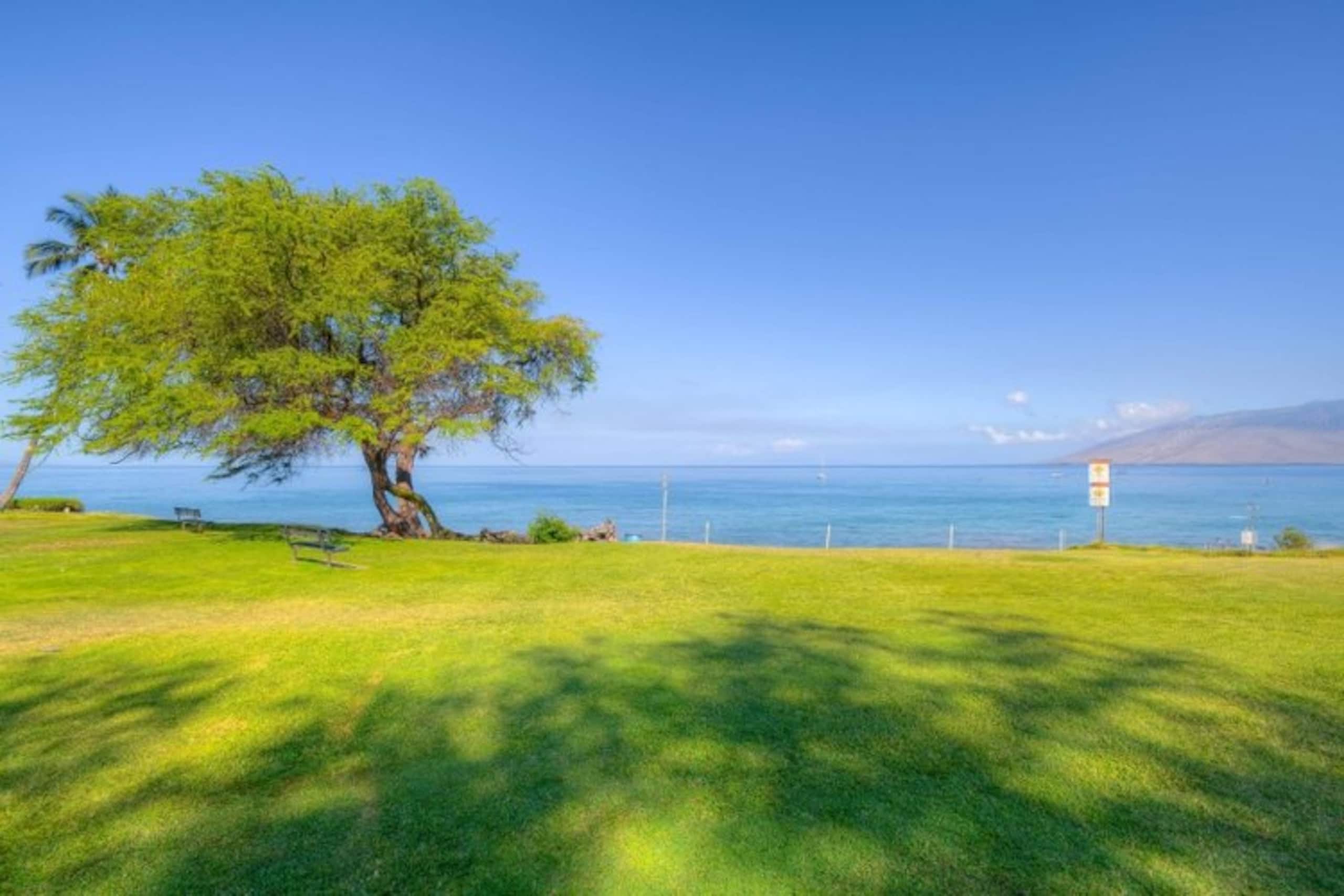 Garden Setting*AC*Close to Beach*Central Location - Image 41
