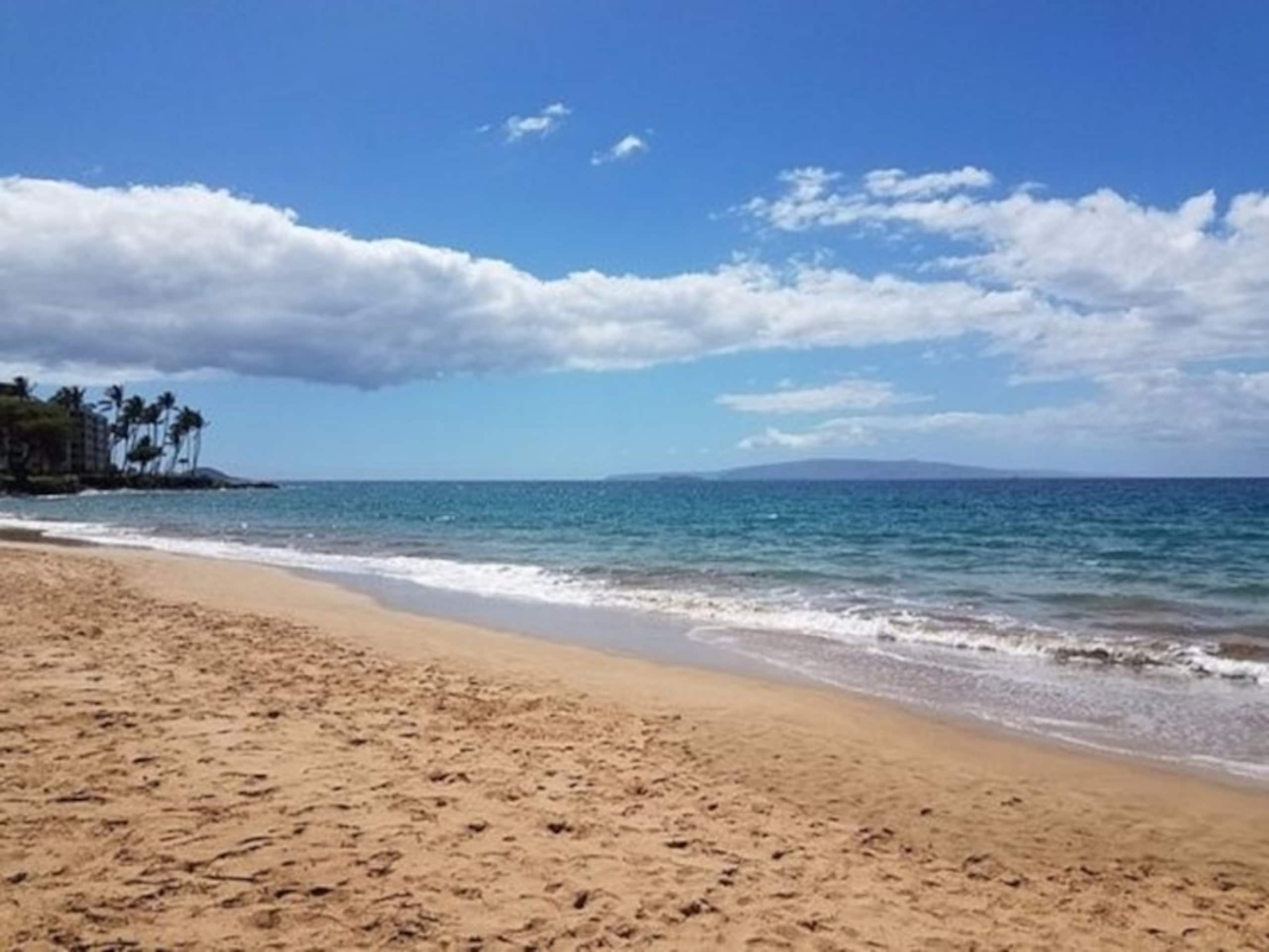 Maui Vista 3312 - 1 BR/1 BA near Beach - Photo 7