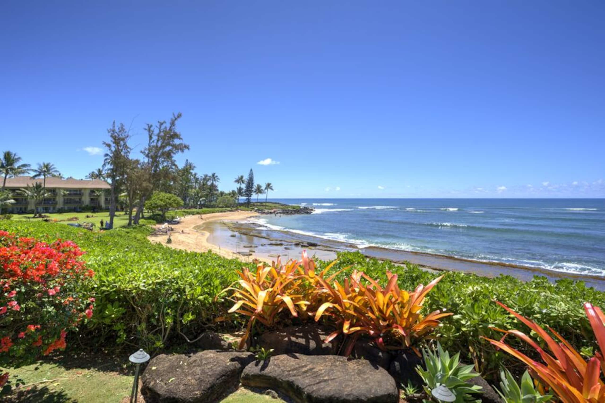 Condo in Kapaa · ★5.0 · 2 bedrooms · 2 beds · 2 baths - Image 49