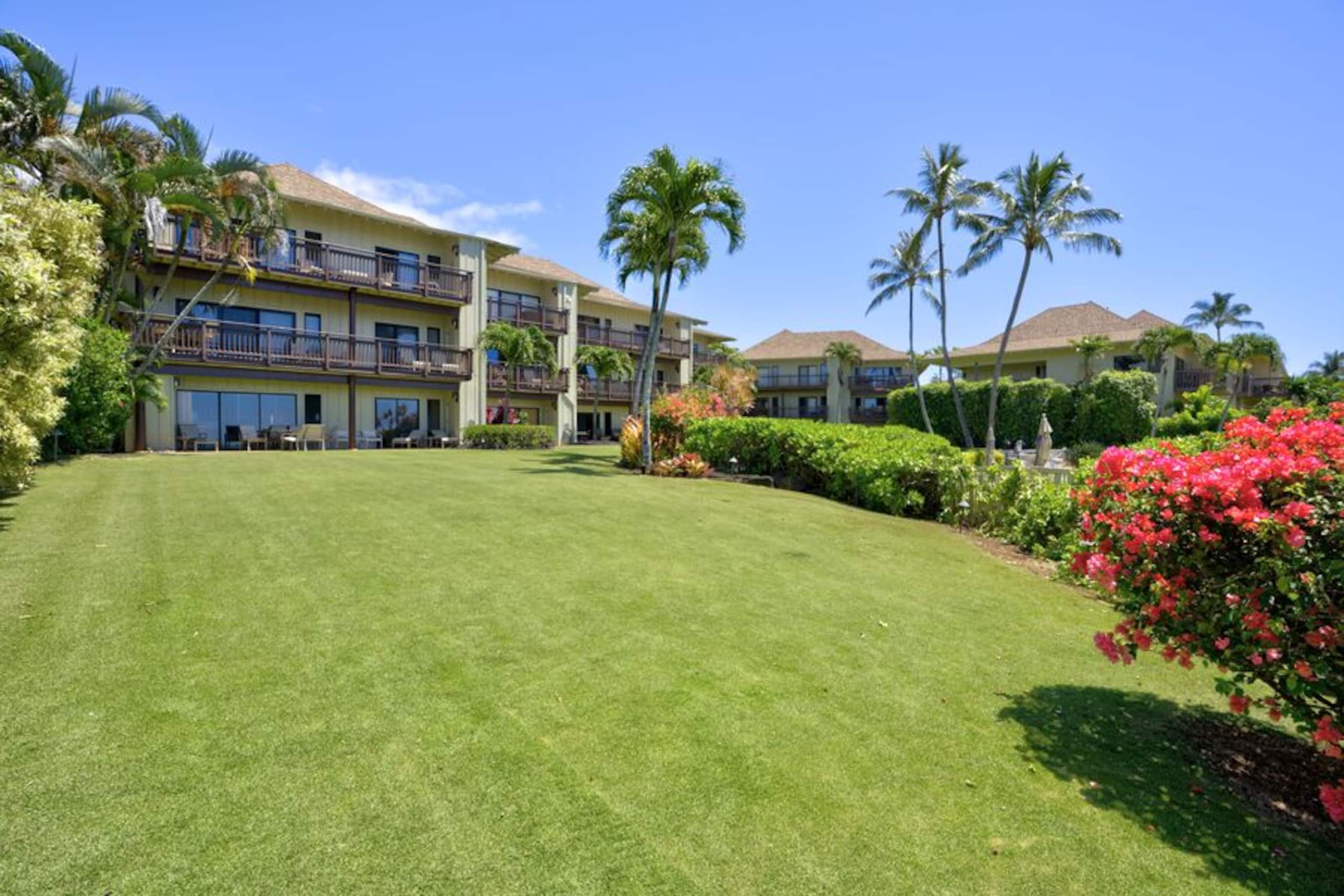 Condo in Kapaa · ★5.0 · 2 bedrooms · 2 beds · 2 baths - Image 37