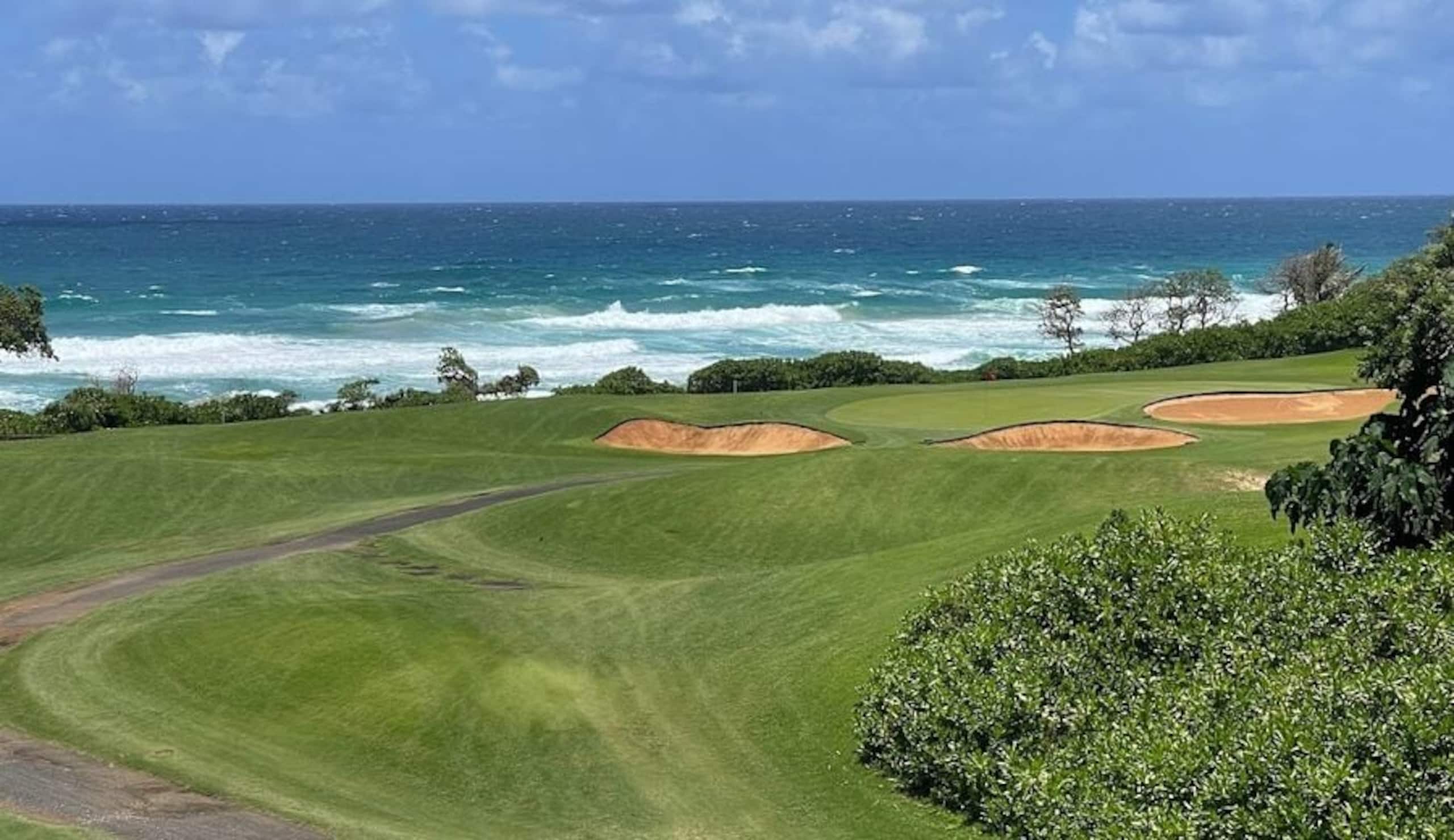 Condo in Kapaa · ★5.0 · 2 bedrooms · 2 beds · 2 baths - Image 70