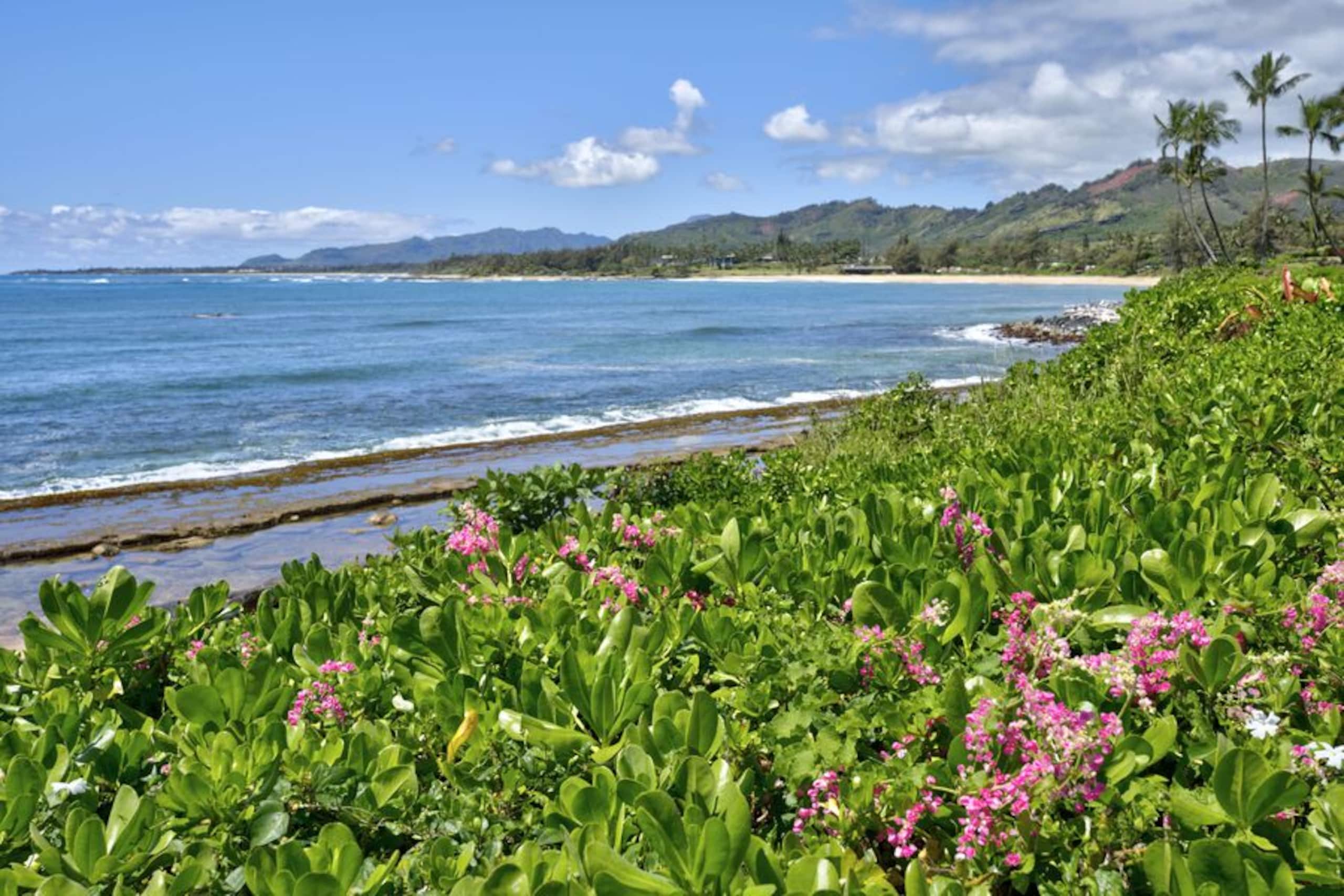 Condo in Kapaa · ★5.0 · 2 bedrooms · 2 beds · 2 baths - Image 48