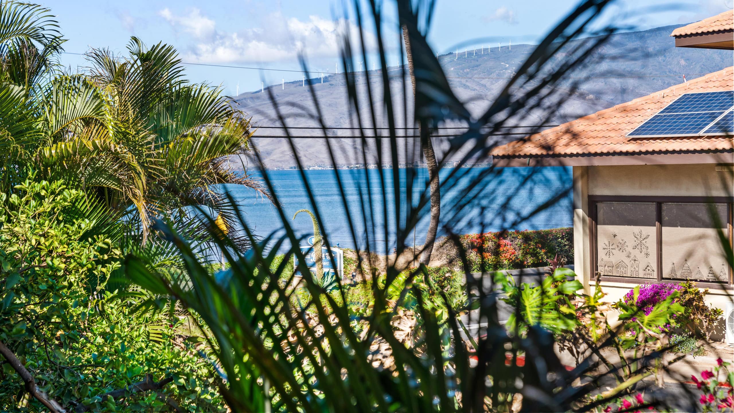 Condo in Kihei · ★5.0 · 1 bedroom · 1 bed · 1.5 private baths - Image 27