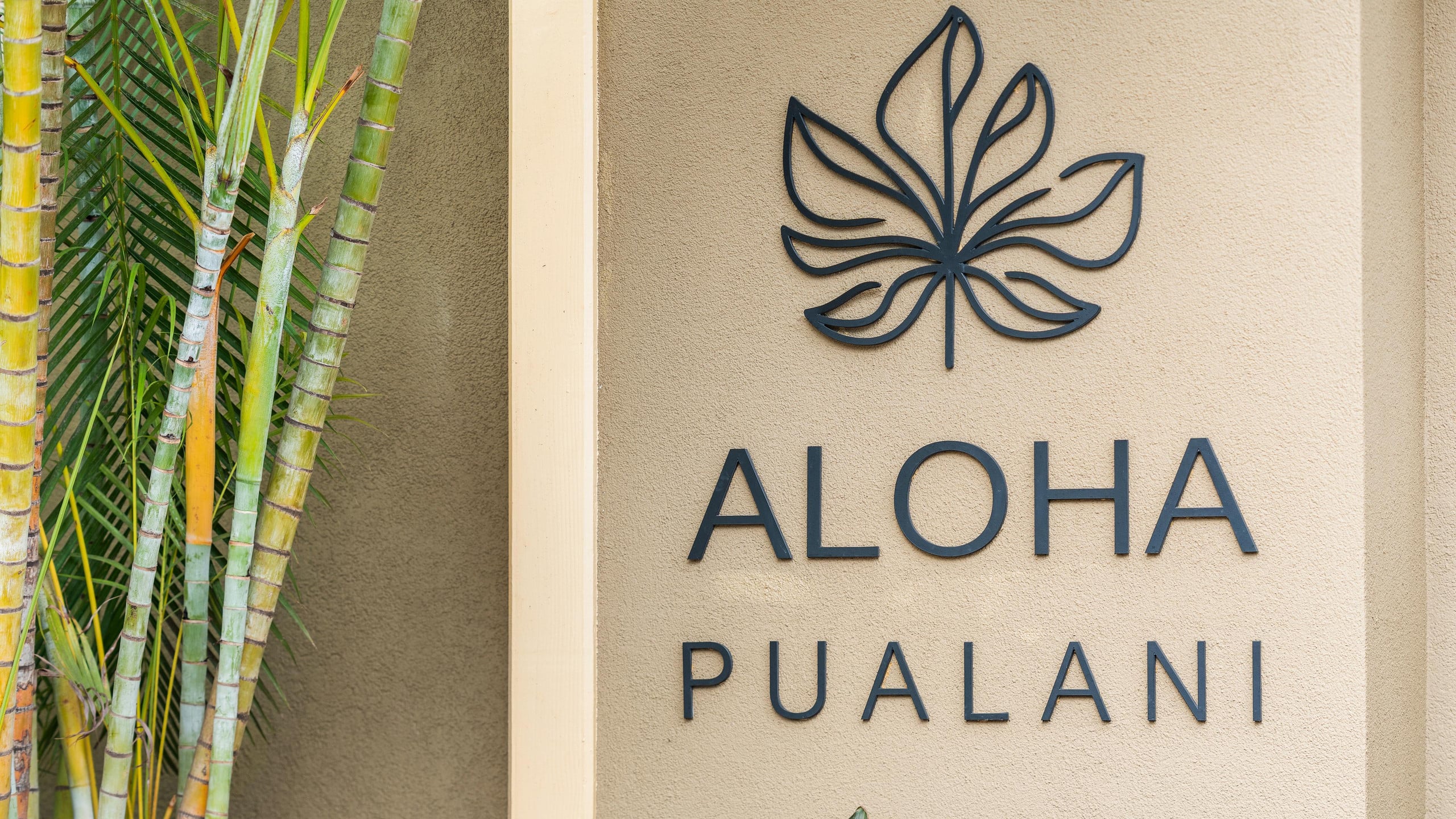 Condo in Kihei · ★5.0 · 1 bedroom · 1 bed · 1 private bath - Image 65