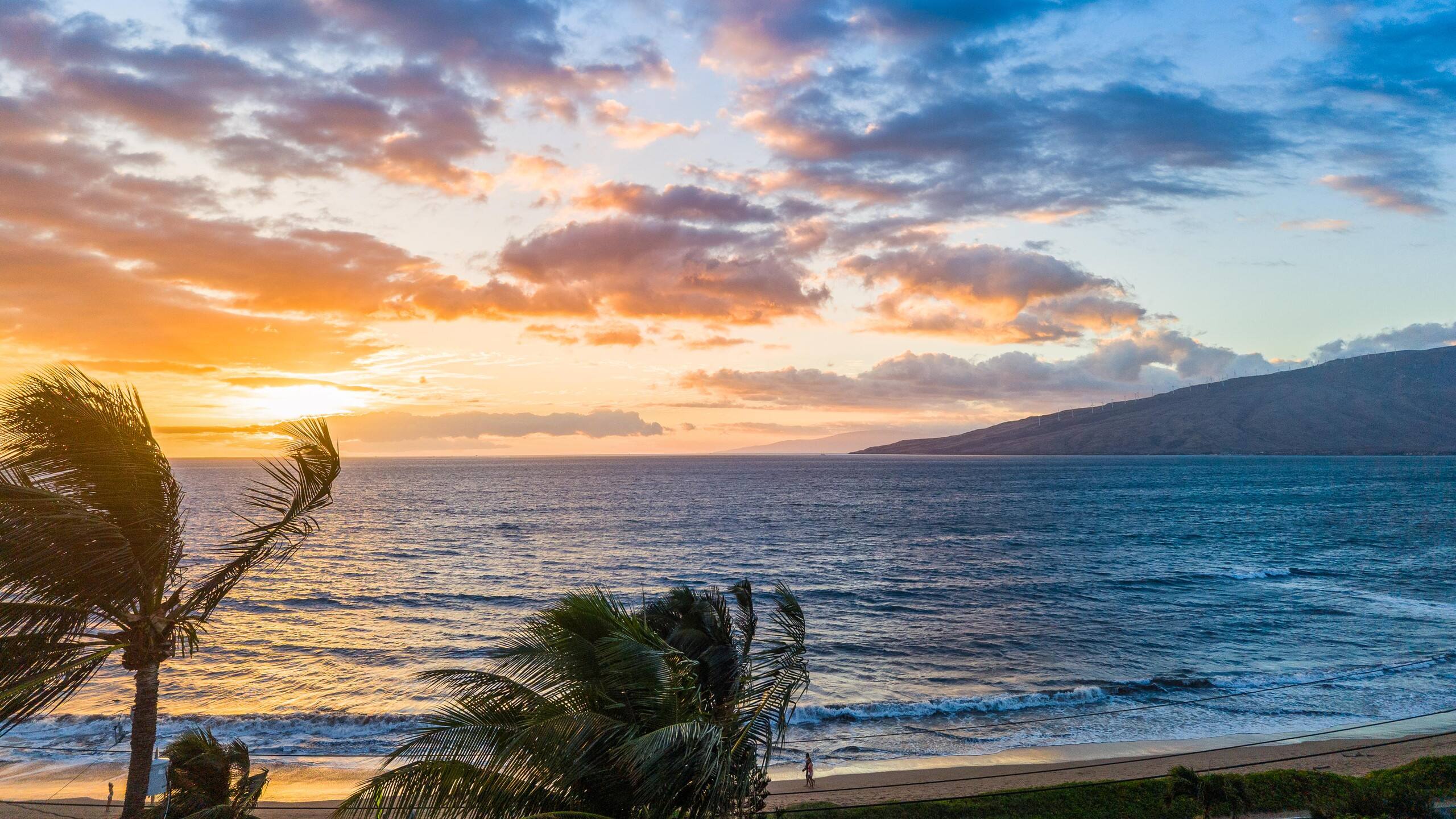Condo in Kihei · ★5.0 · 1 bedroom · 1 bed · 1 private bath - Image 82
