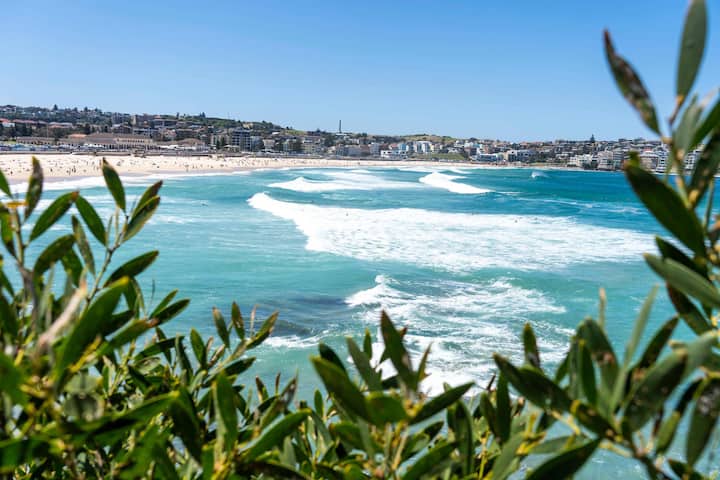 Bondi Beach Bliss With Parking - Winter Special - Bondi Beach
