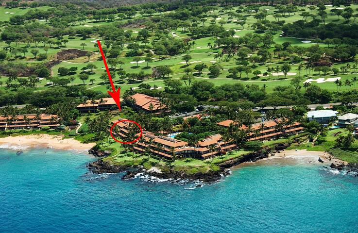Sunny Surf E301 At Makena Surf! 3 Br Ocean Front! gallery image 4