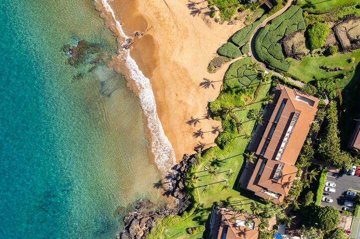 Sunny Surf E301 At Makena Surf! 3 Br Ocean Front! gallery image 3