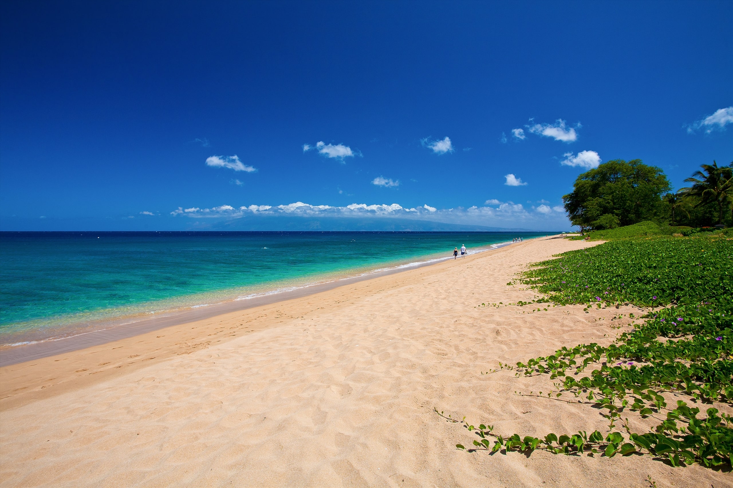 Home in Kaanapali · ★5.0 · 3 bedrooms · 4 beds · 3.5 baths - Image 26