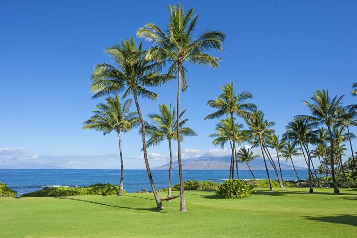 Maui’s Iconic Ocean Front Wailea Sunset Estate! gallery image 5