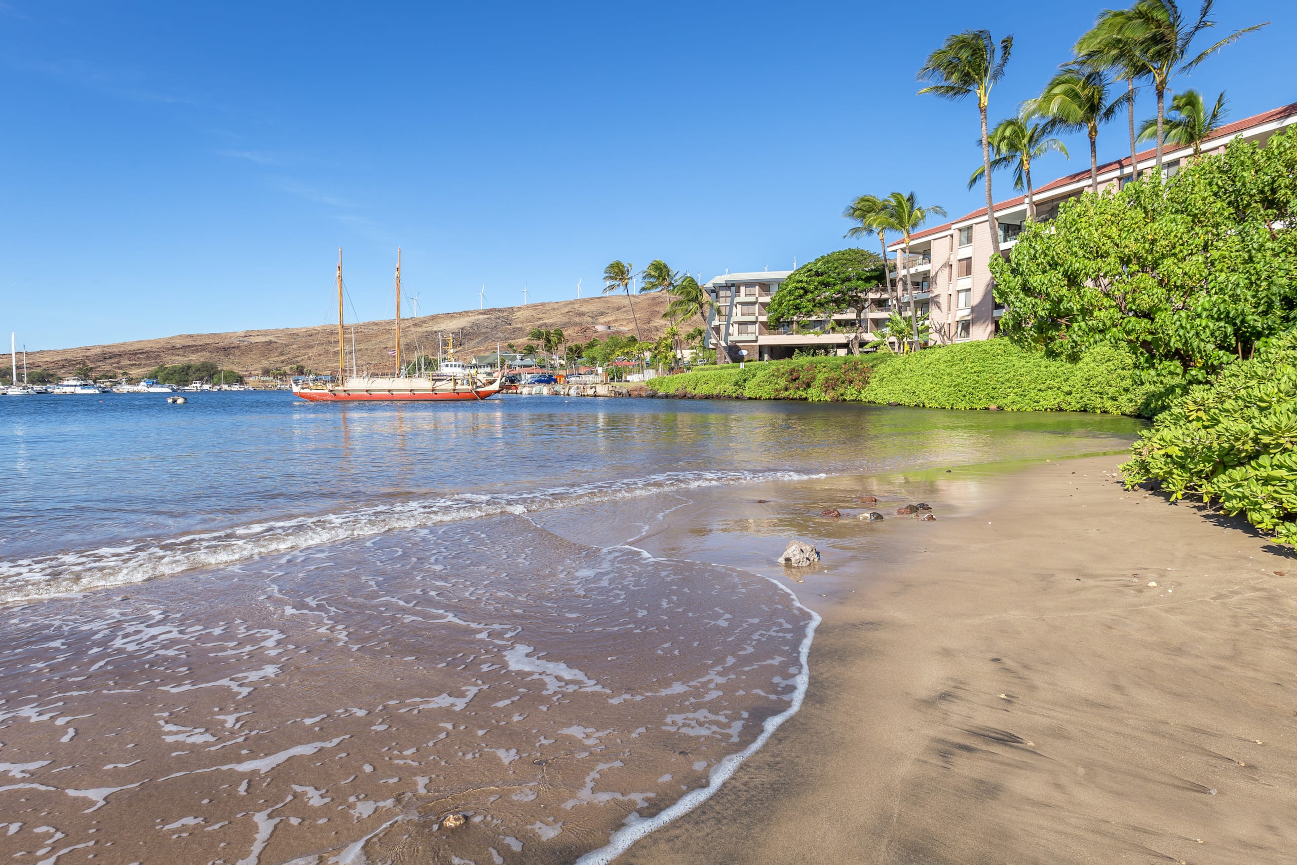 Condo in Wailuku · ★4.82 · 1 bedroom · 2 beds · 1 bath - Image 22