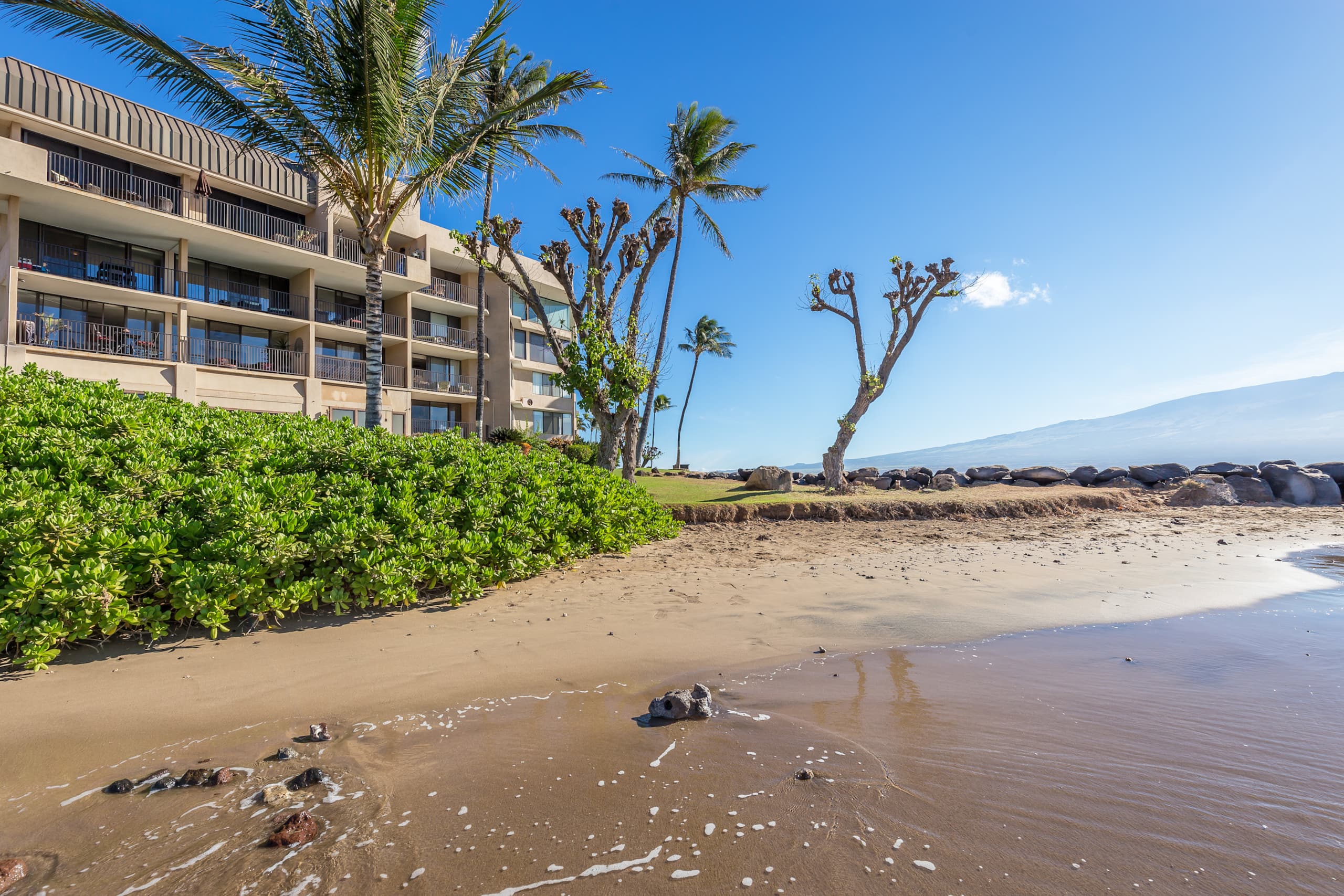 Condo in Wailuku · ★4.82 · 1 bedroom · 2 beds · 1 bath - Image 23