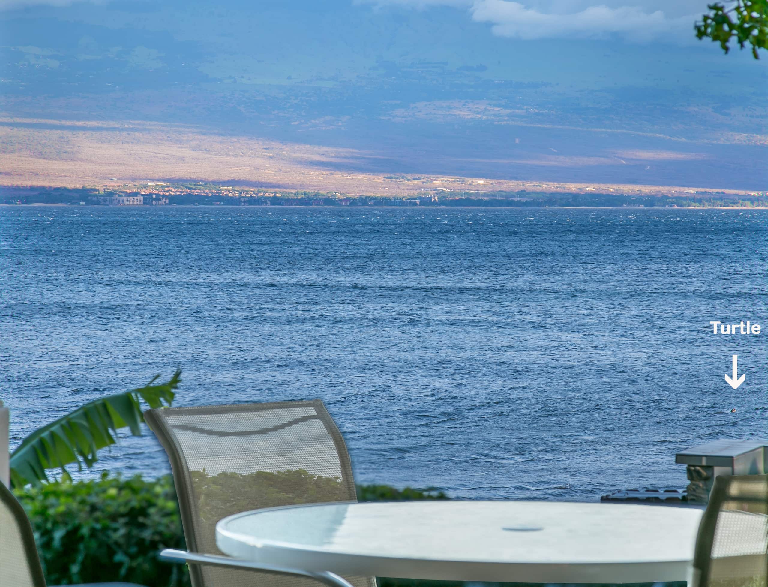 Condo in Wailuku · ★4.82 · 1 bedroom · 2 beds · 1 bath - Image 19