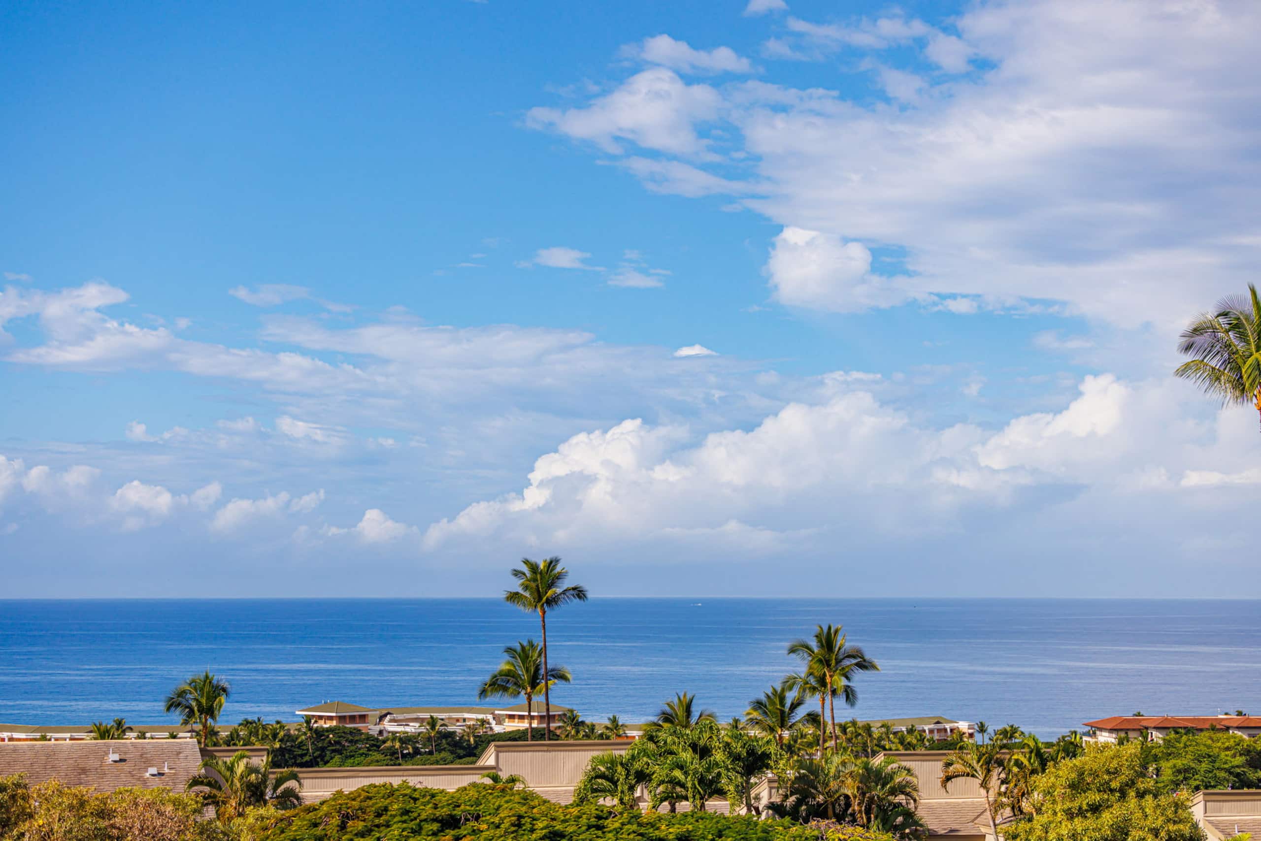 Condo in Kihei · ★5.0 · 2 bedrooms · 3 beds · 2 private baths - Image 45