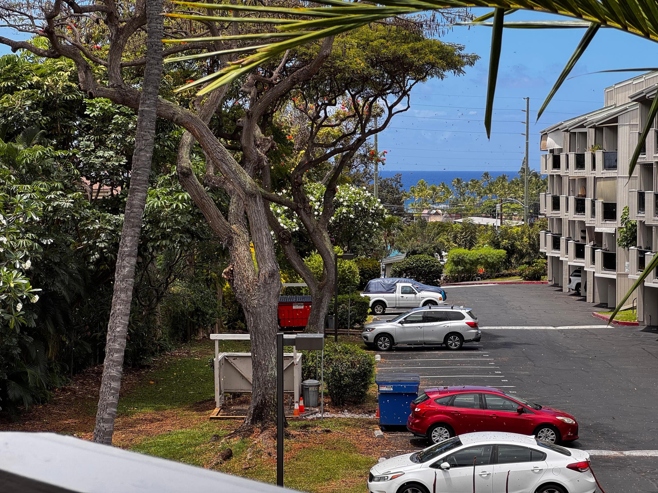 Condo in Kailua-Kona · ★5.0 · 1 bedroom · 2 beds · 1 private bath - Image 3