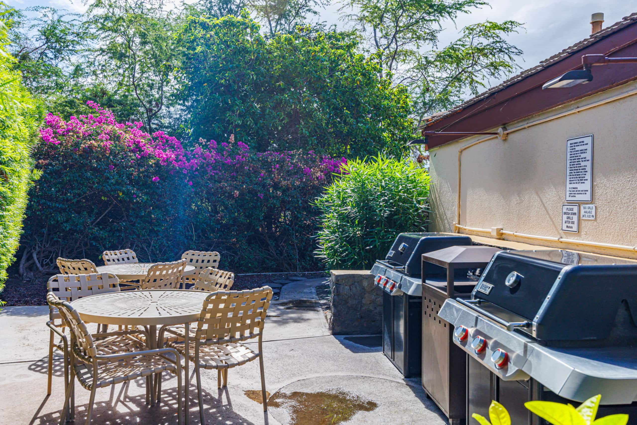 Condo in Kihei · ★5.0 · 1 bedroom · 2 beds · 1 bath - Image 56
