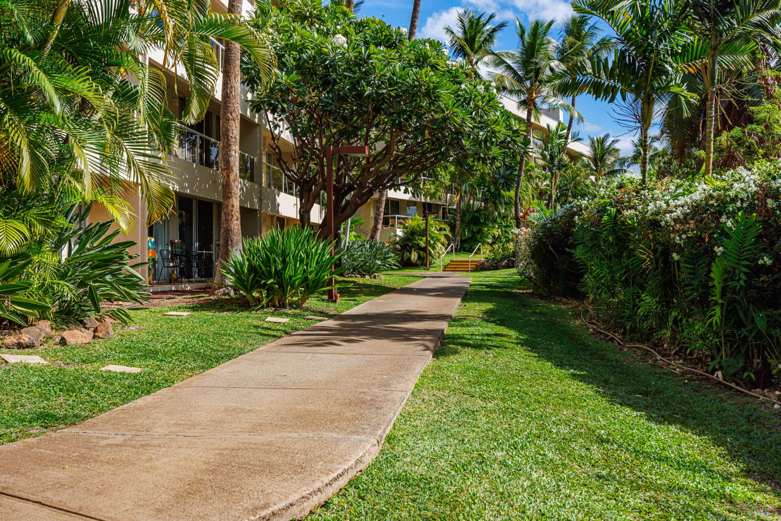 Condo in Kihei · ★5.0 · 1 bedroom · 2 beds · 1 bath - Image 45