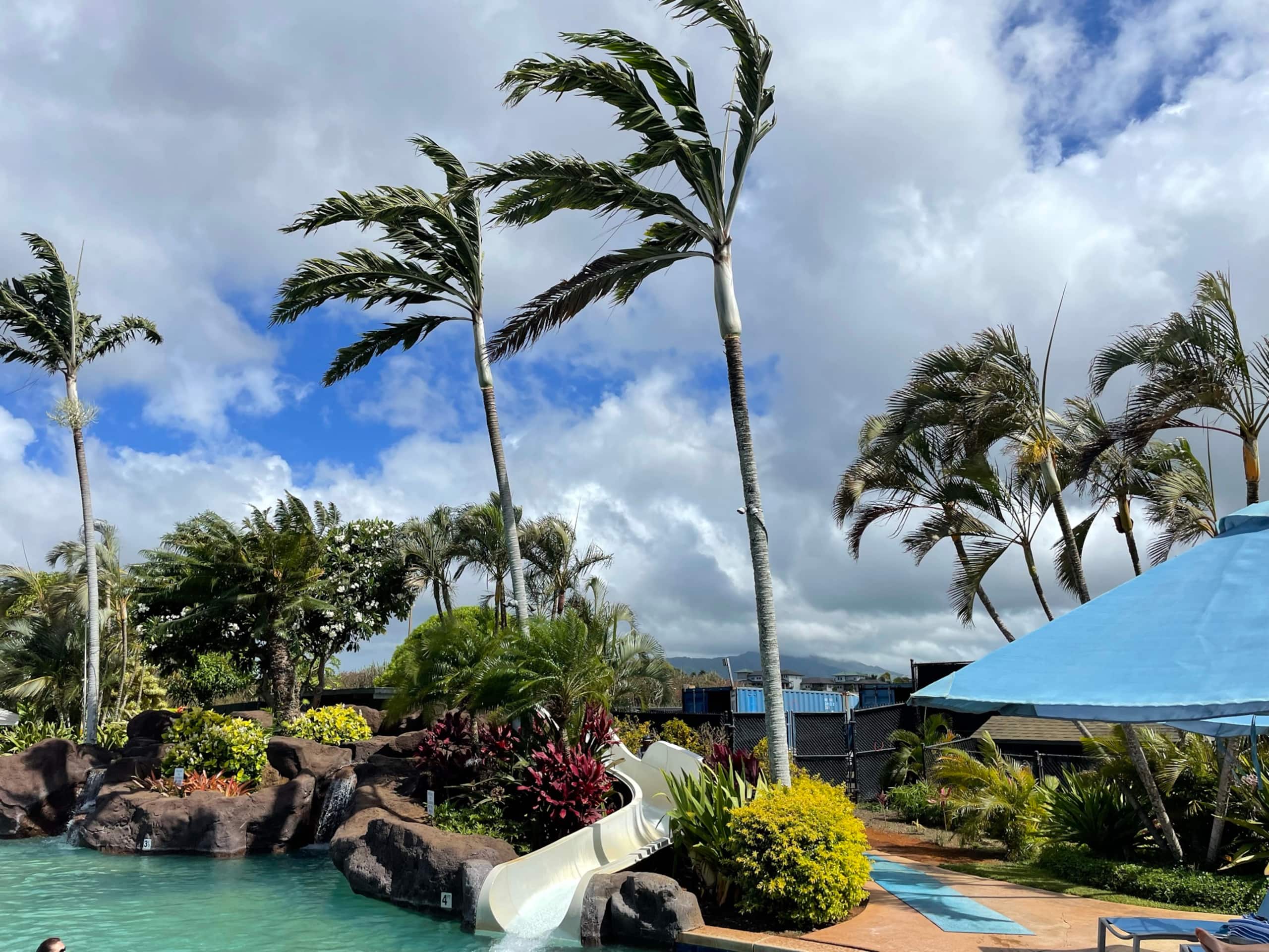 Fabulous Ocean View w/AC - Photo 22