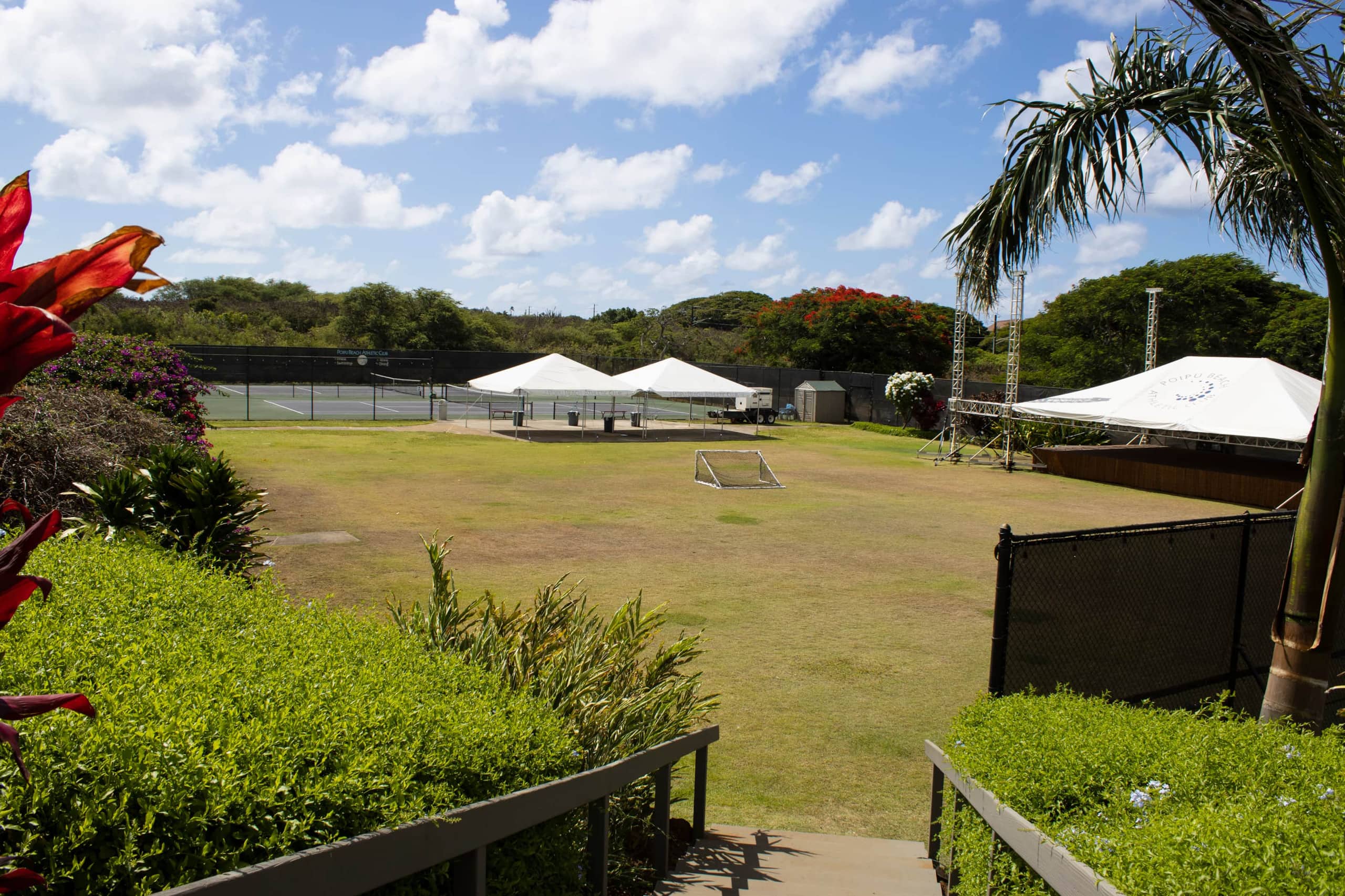 Fabulous Ocean View w/AC - Photo 32