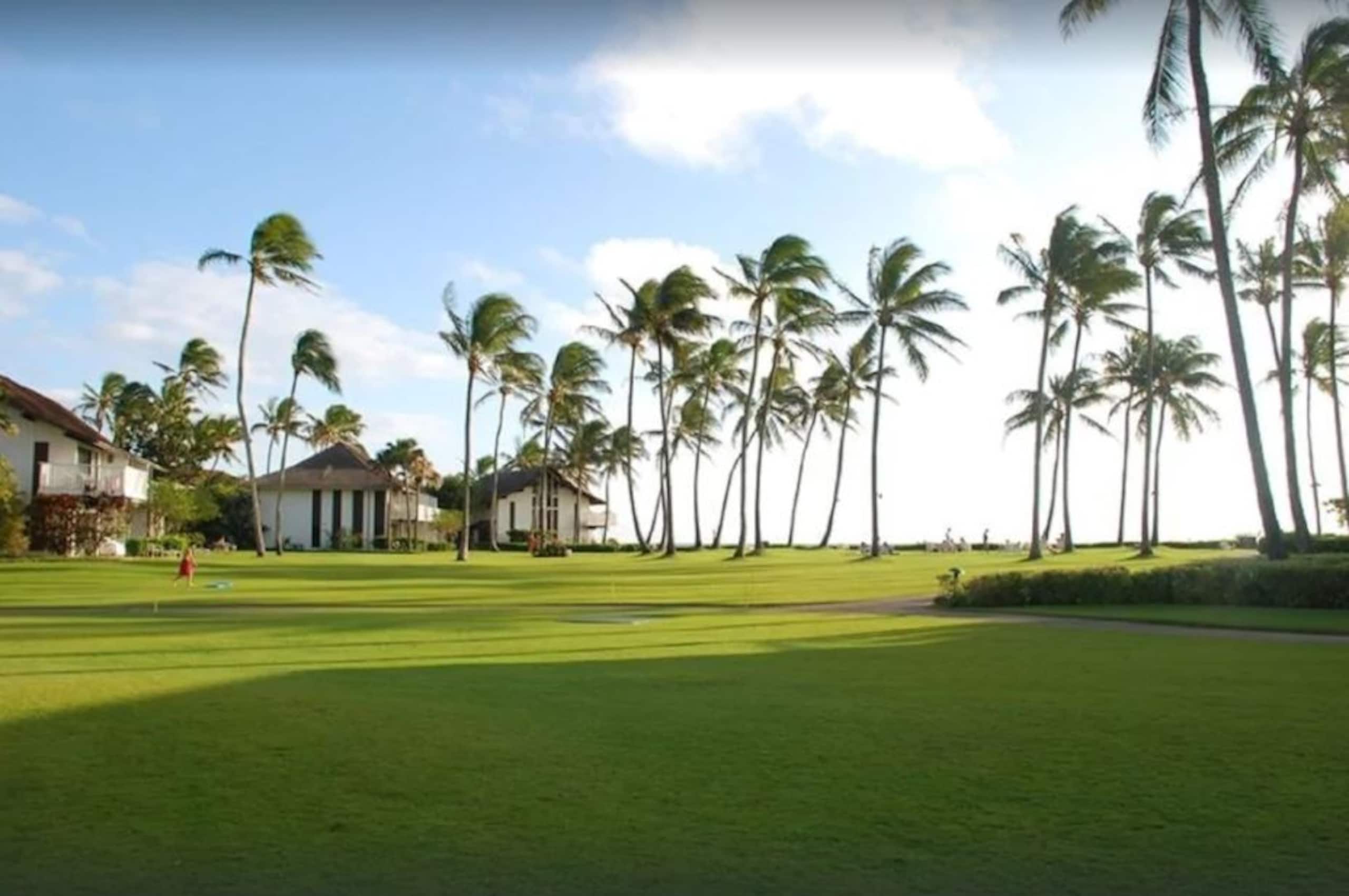 Fabulous Ocean View w/AC - Photo 4