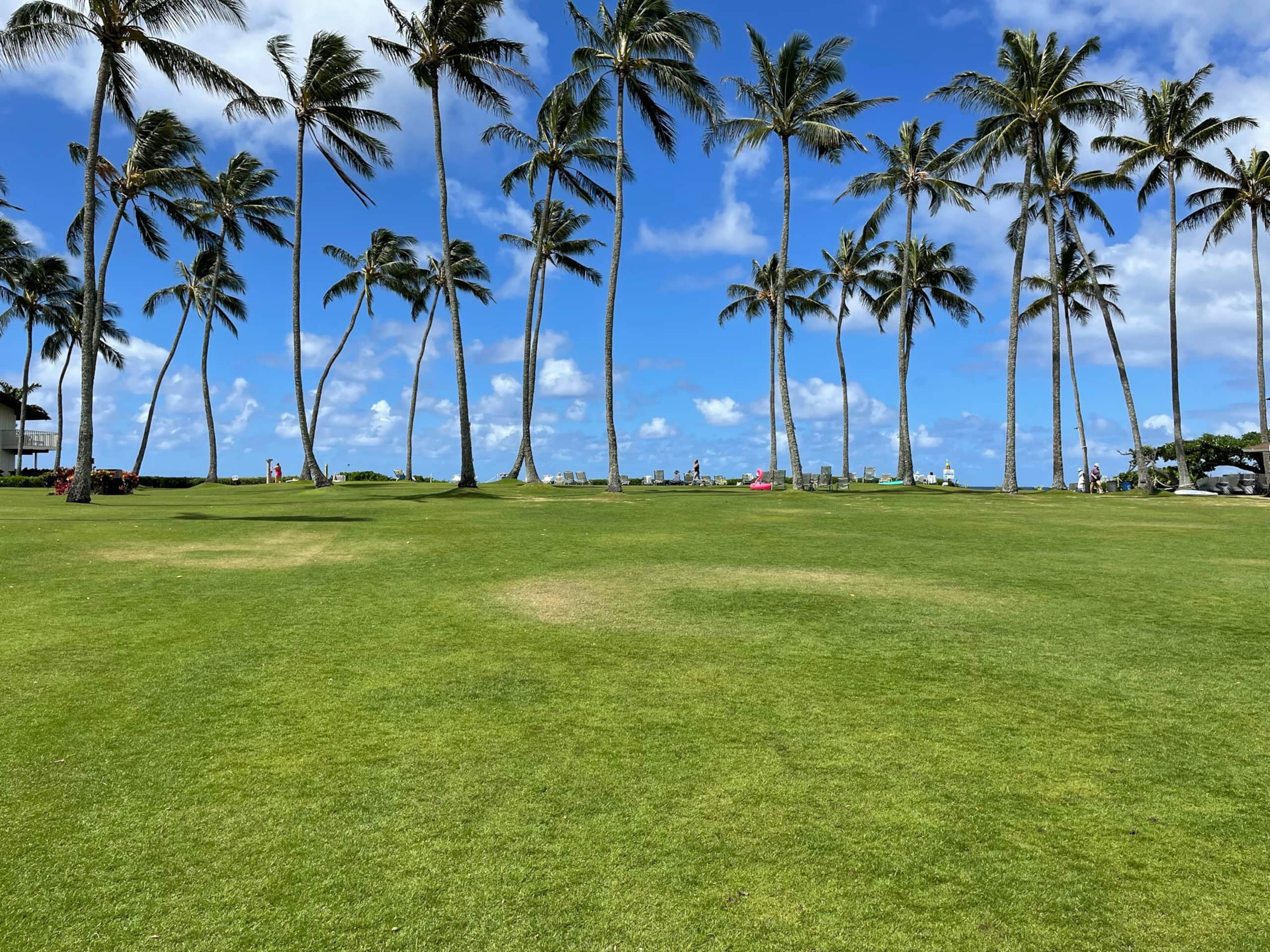 Fabulous Ocean View w/AC - Photo 29