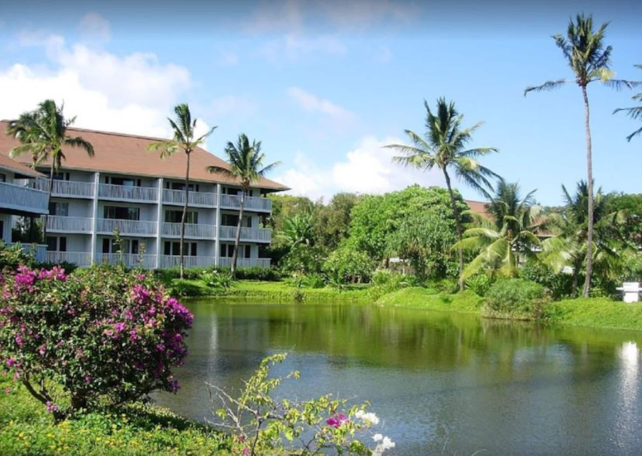 Fabulous Ocean View w/AC - Photo 13