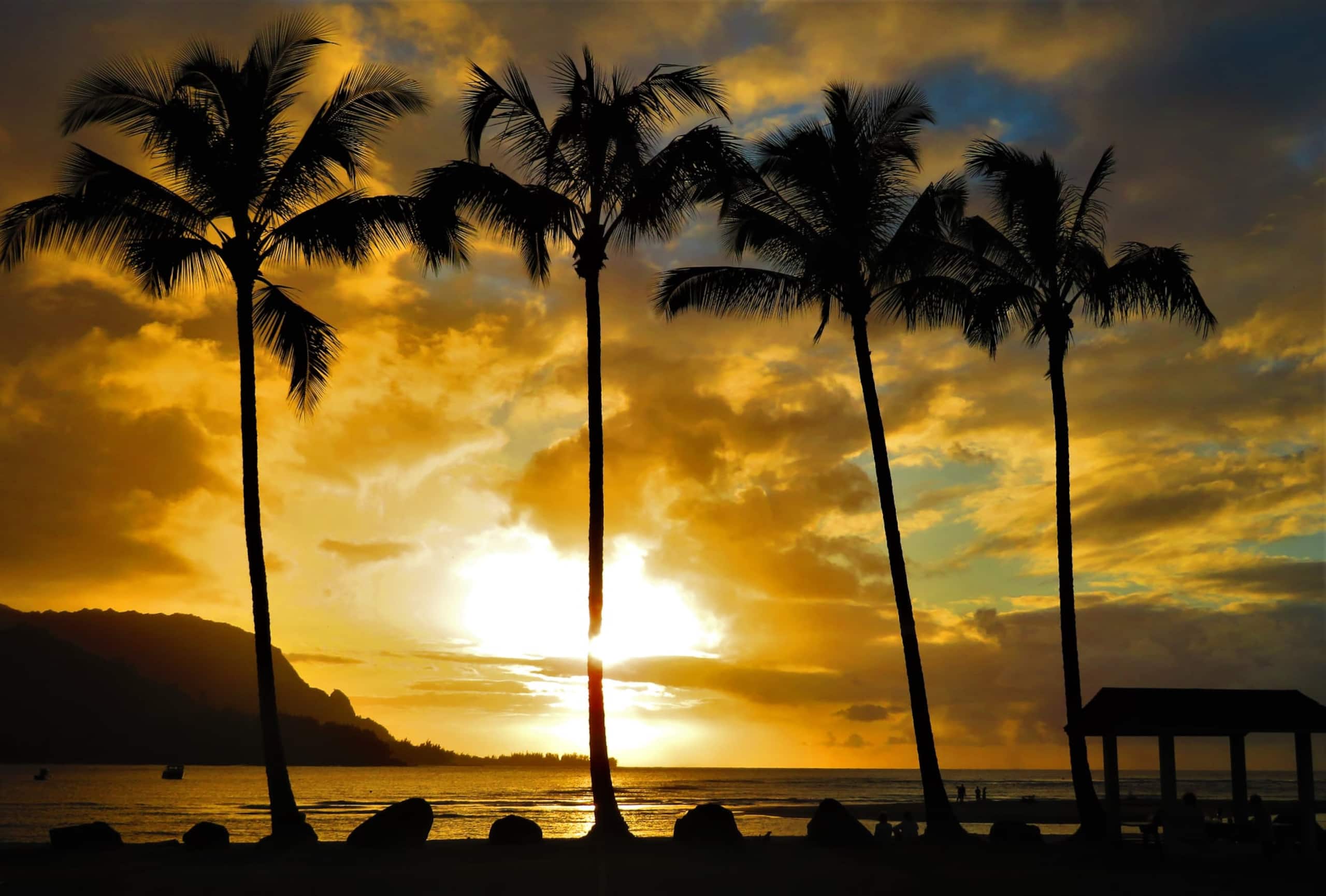 Fabulous Ocean View w/AC - Photo 44