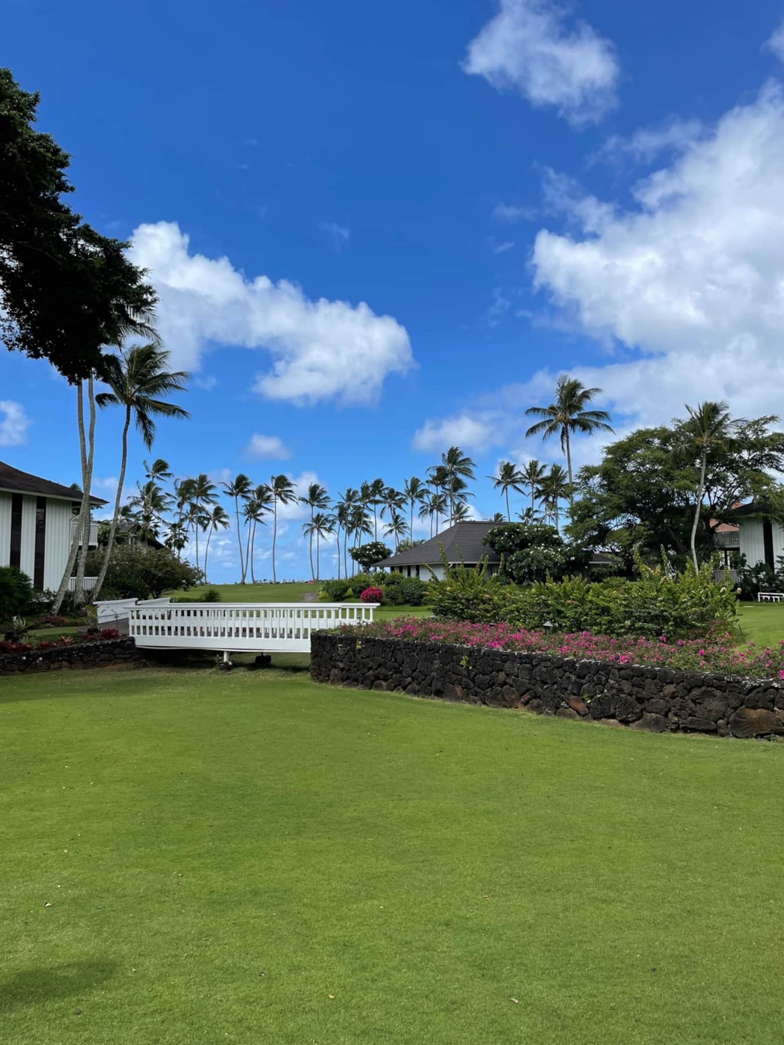Fabulous Ocean View w/AC - Photo 27