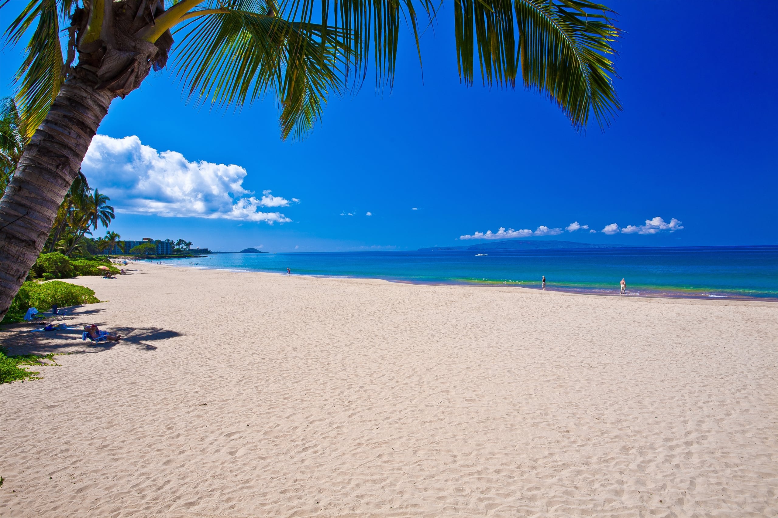 Home in Wailea · ★5.0 · 2 bedrooms · 3 beds · 1 bath - Image 43