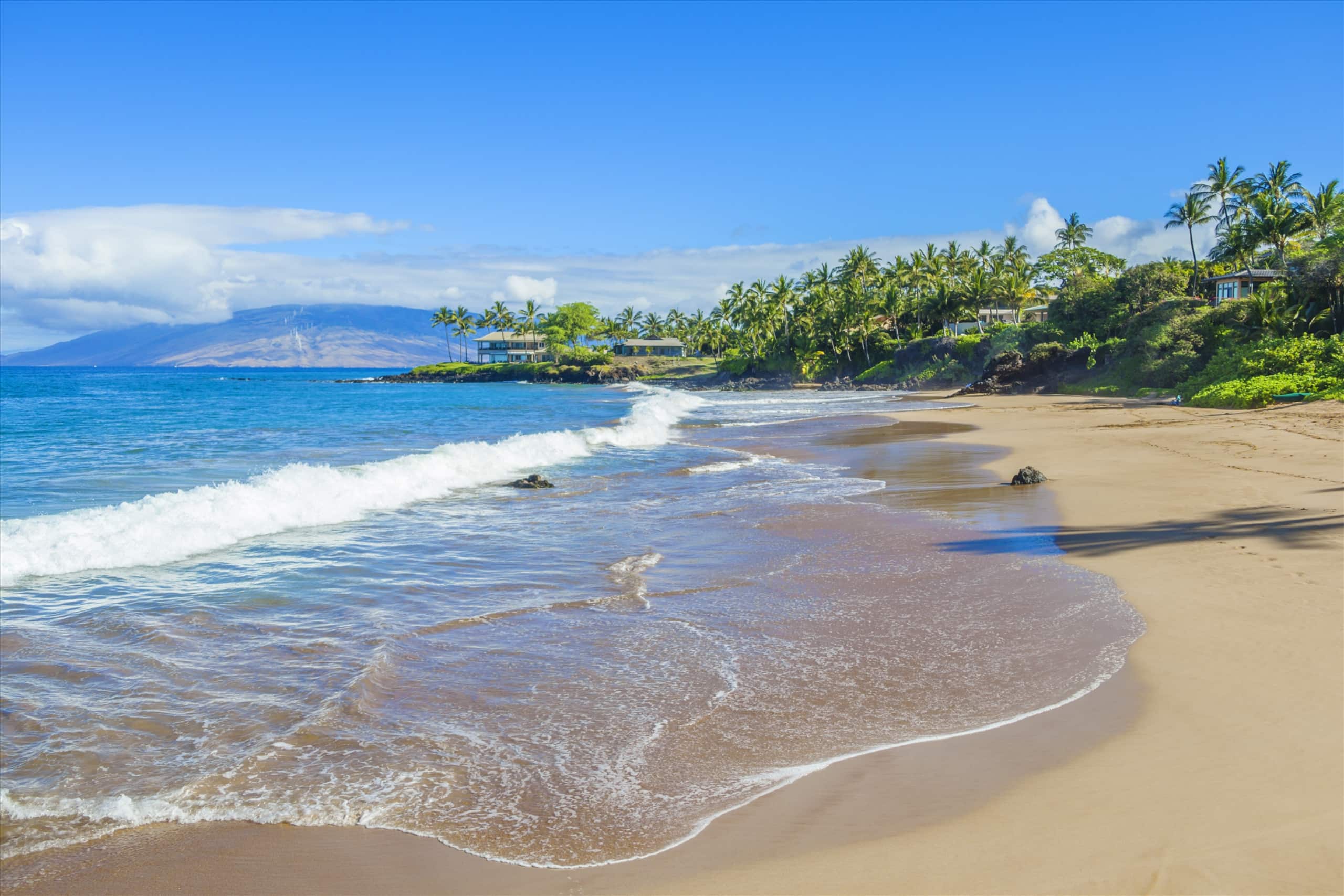 Home in Wailea · ★5.0 · 2 bedrooms · 3 beds · 1 bath - Image 27