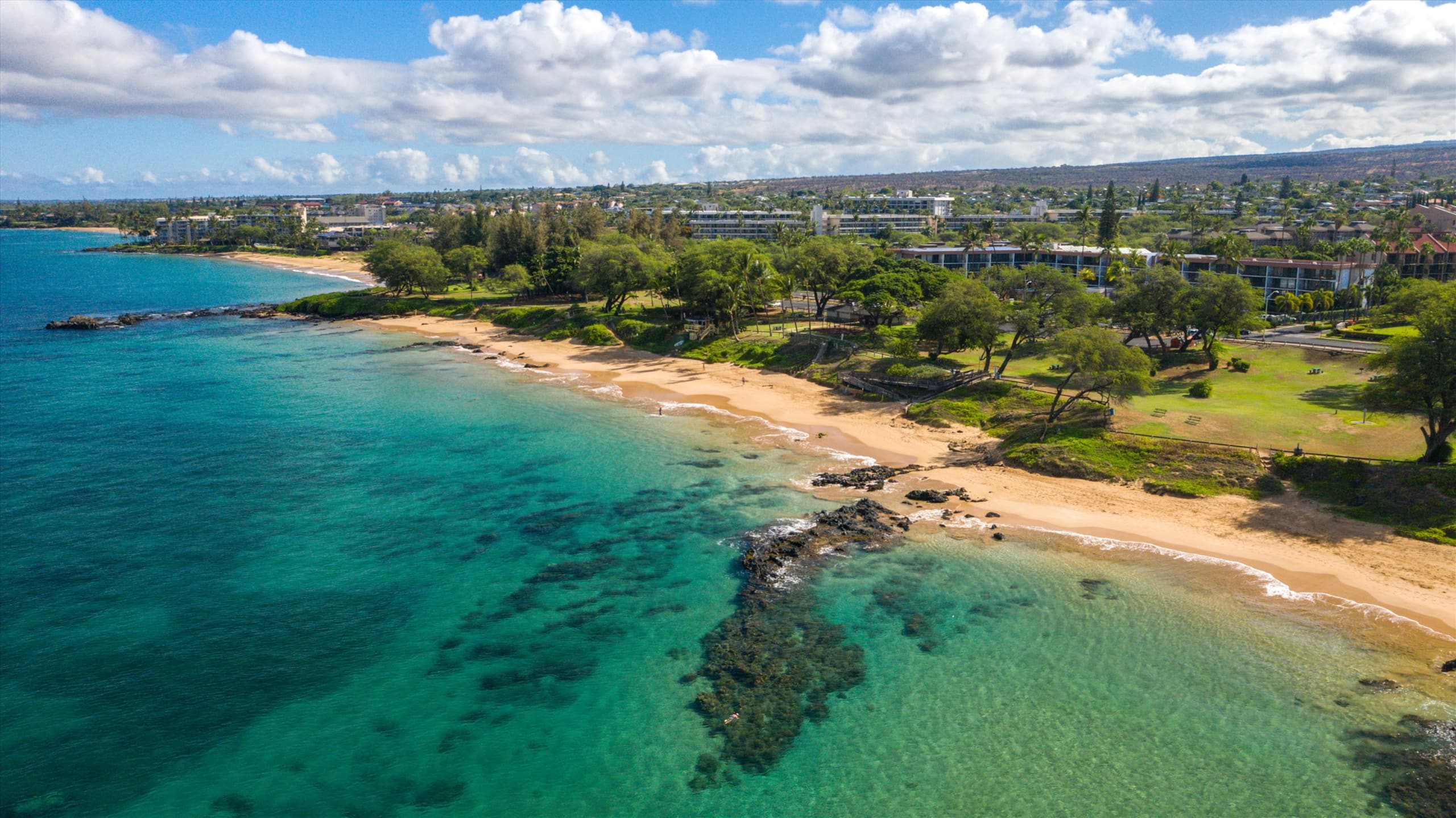 Home in Wailea · ★5.0 · 2 bedrooms · 3 beds · 1 bath - Image 41