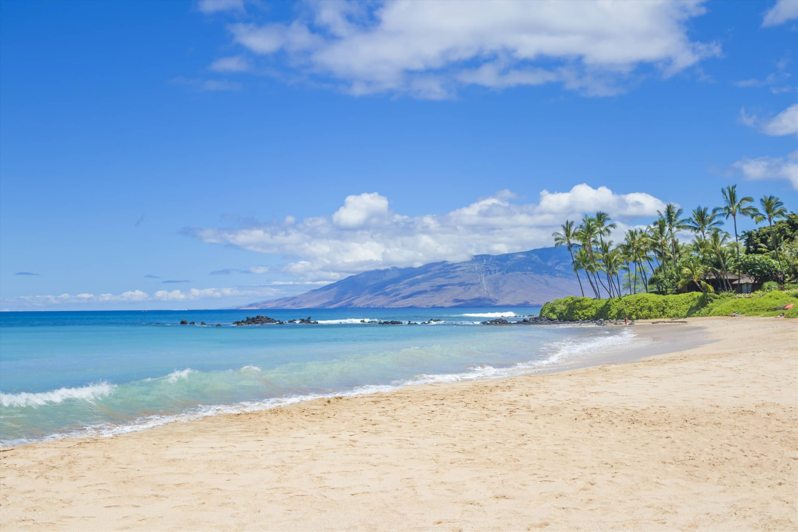 Home in Wailea · ★5.0 · 2 bedrooms · 3 beds · 1 bath - Image 29