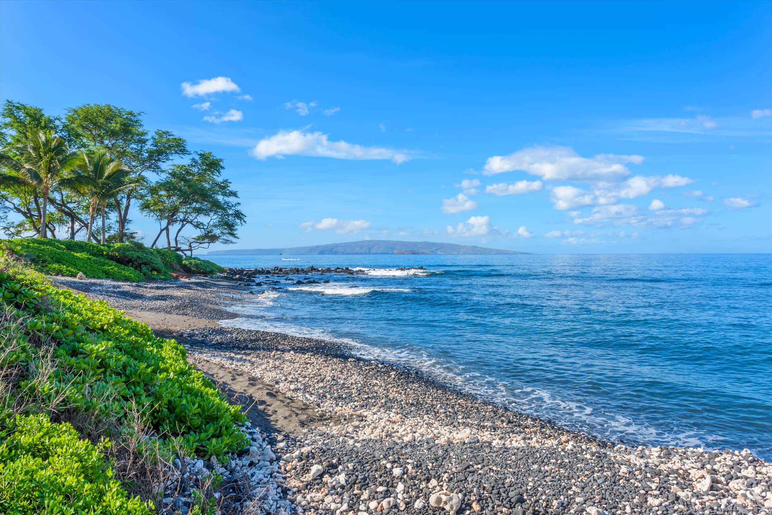 Home in Wailea · ★5.0 · 2 bedrooms · 3 beds · 1 bath - Image 21