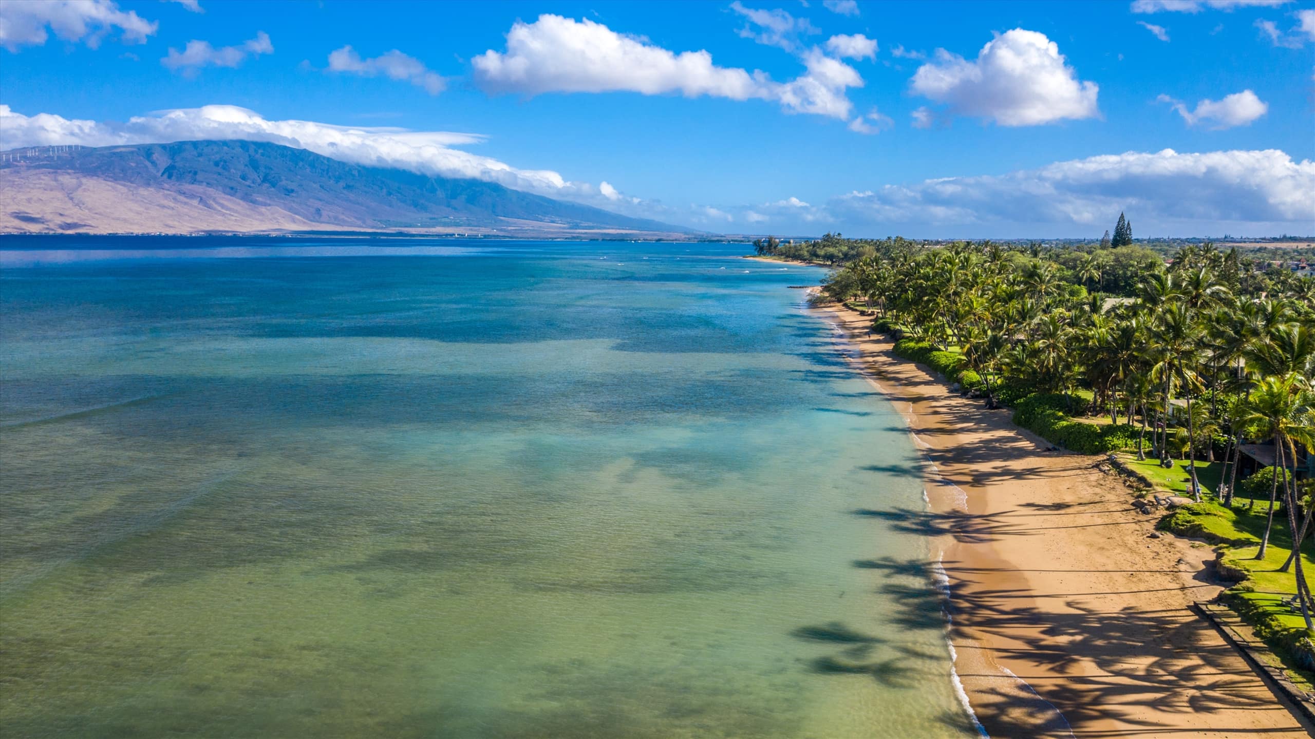 Home in Wailea · ★5.0 · 2 bedrooms · 3 beds · 1 bath - Image 44