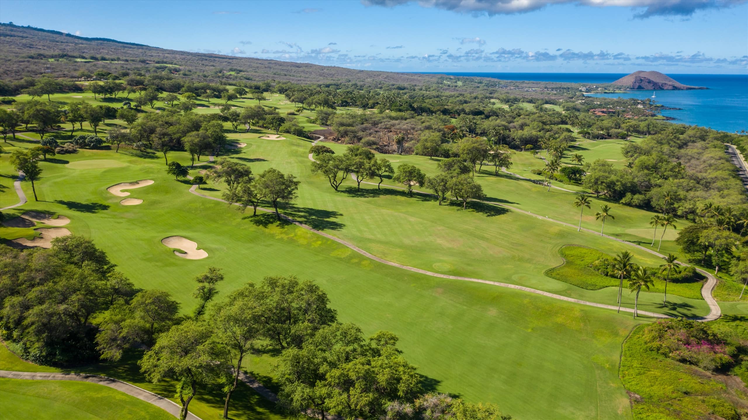 Home in Wailea · ★5.0 · 2 bedrooms · 3 beds · 1 bath - Image 46