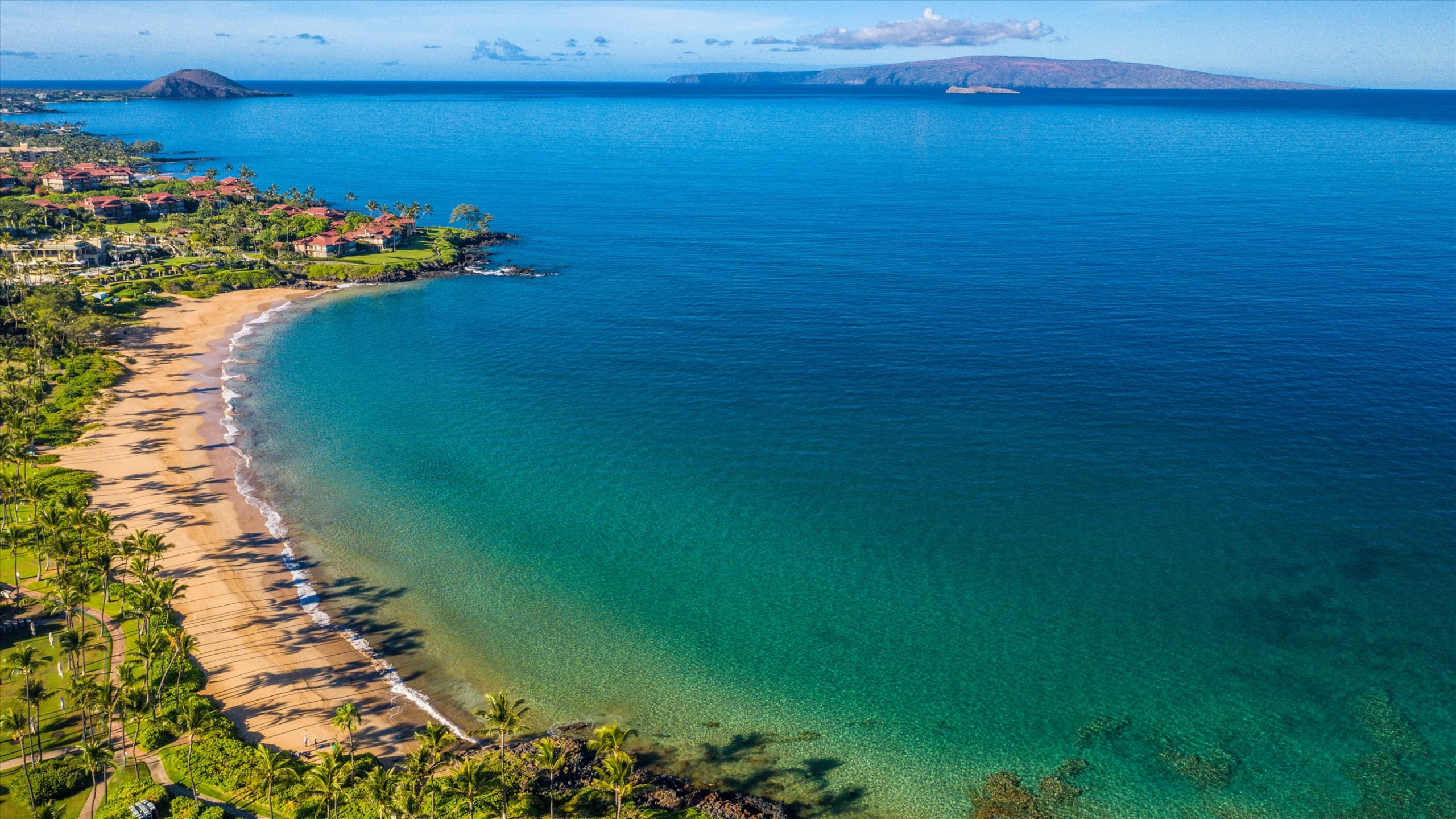 Home in Wailea · ★5.0 · 2 bedrooms · 3 beds · 1 bath - Image 49