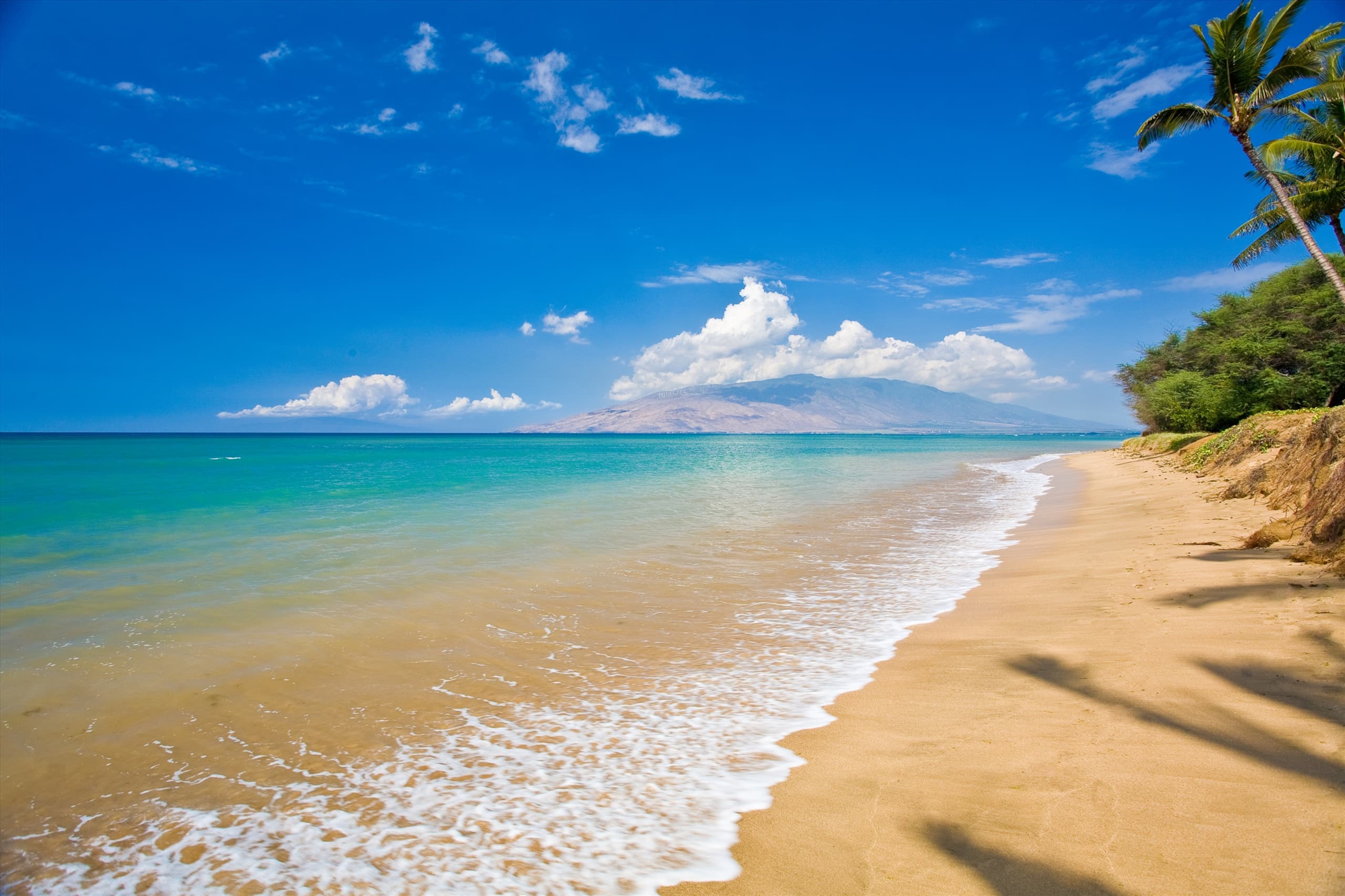 Home in Wailea · ★5.0 · 2 bedrooms · 3 beds · 1 bath - Image 47