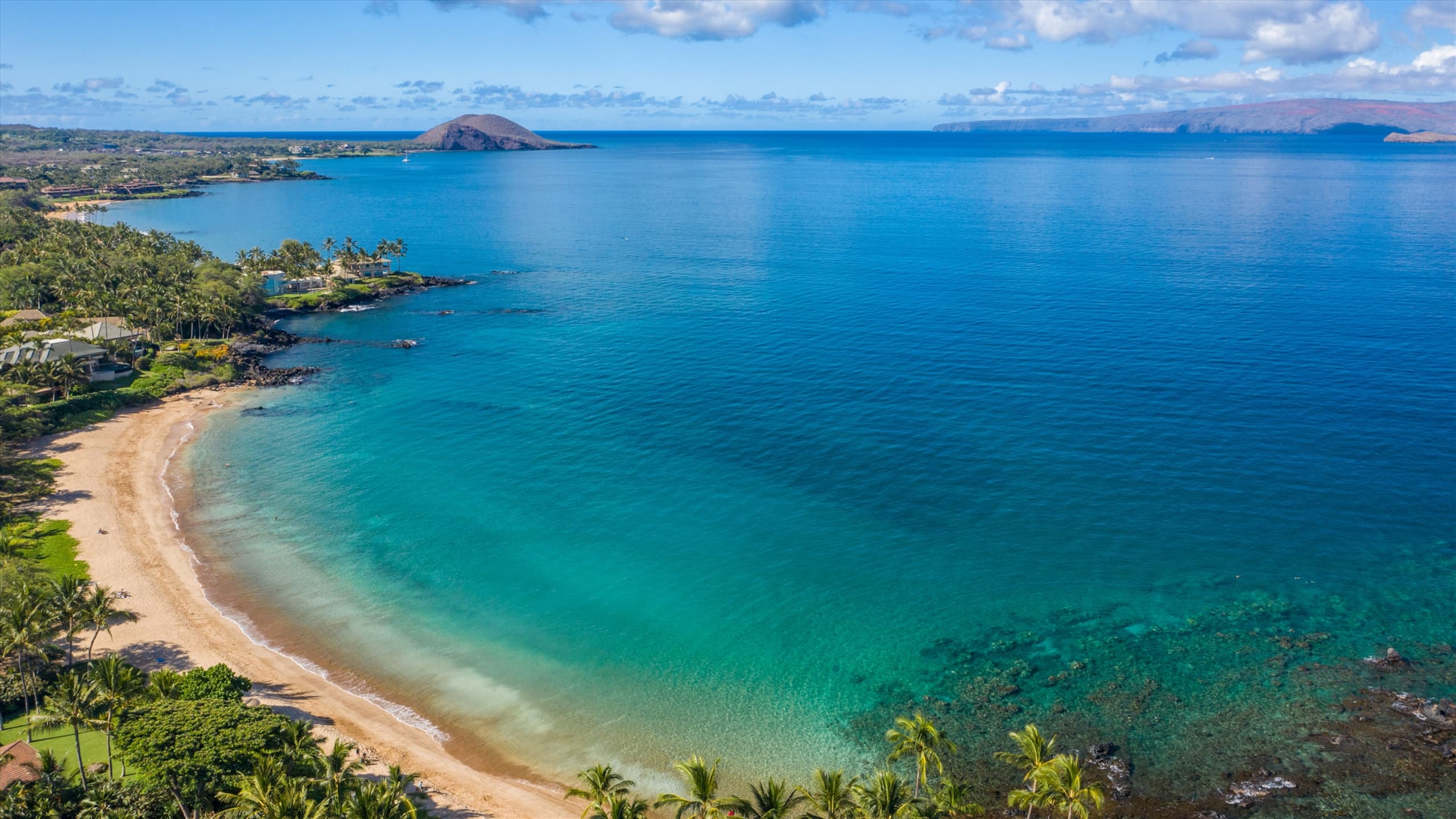Home in Wailea · ★5.0 · 2 bedrooms · 3 beds · 1 bath - Image 31