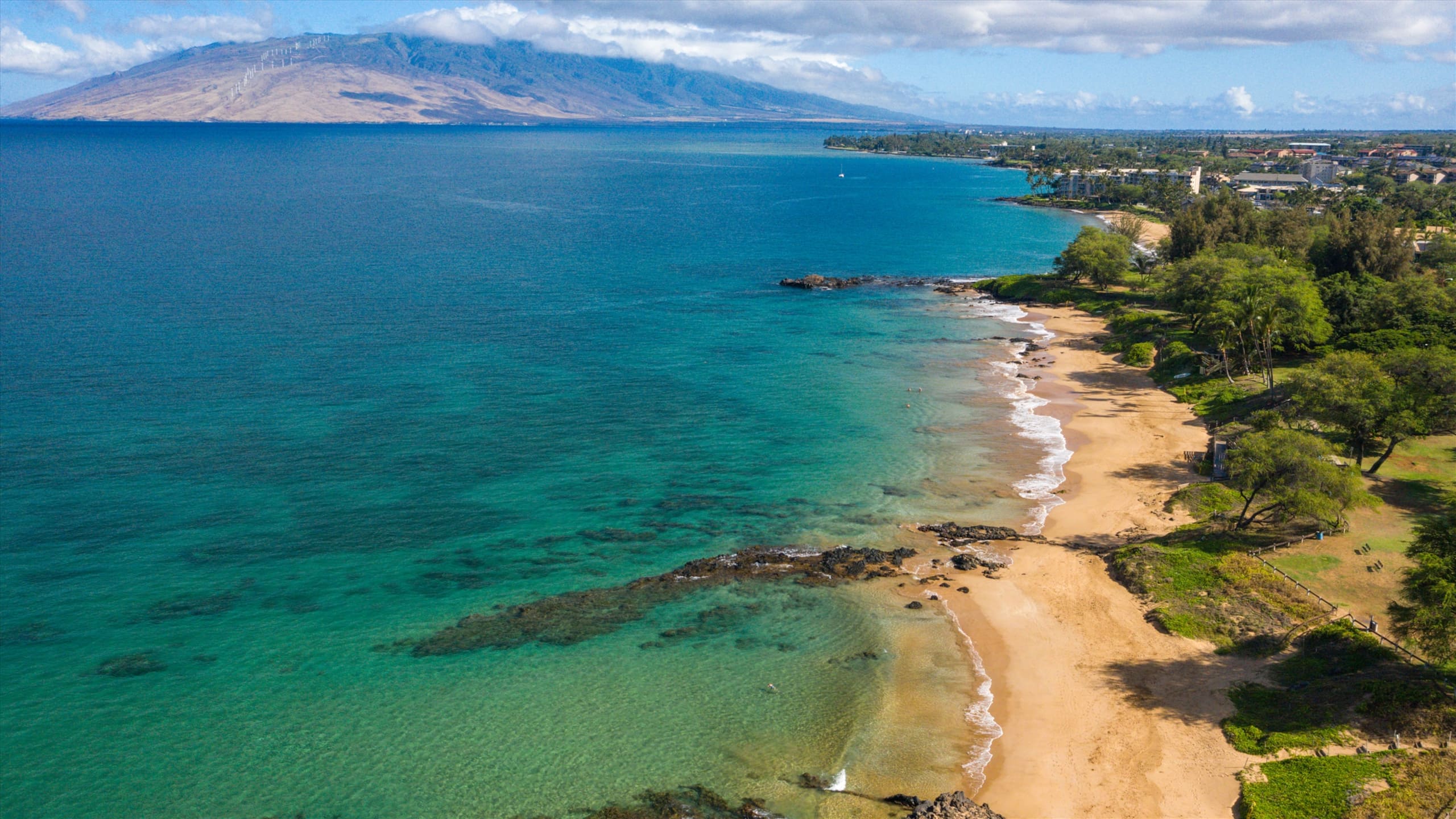 Home in Wailea · ★5.0 · 2 bedrooms · 3 beds · 1 bath - Image 42